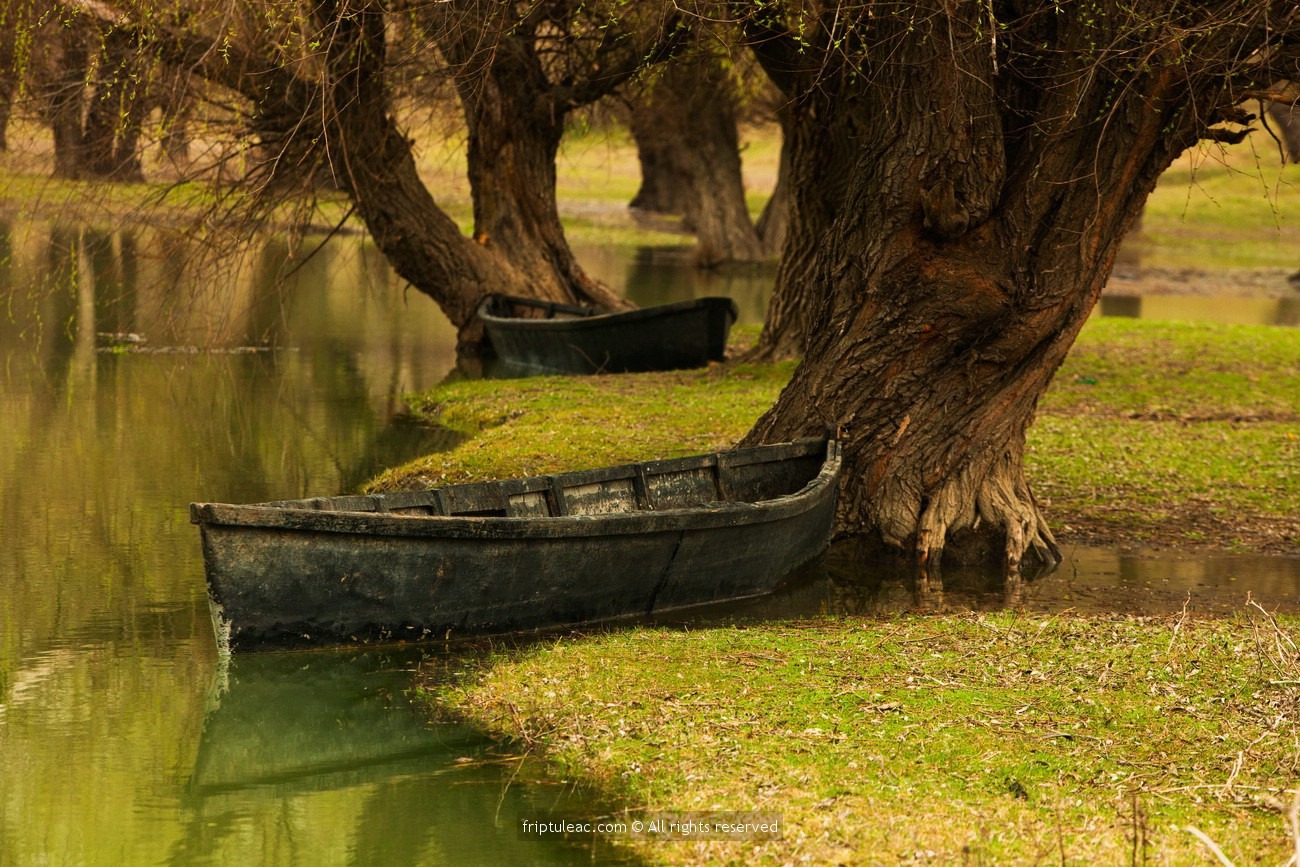 110164003_3320368528023380_2516828821773985008_n