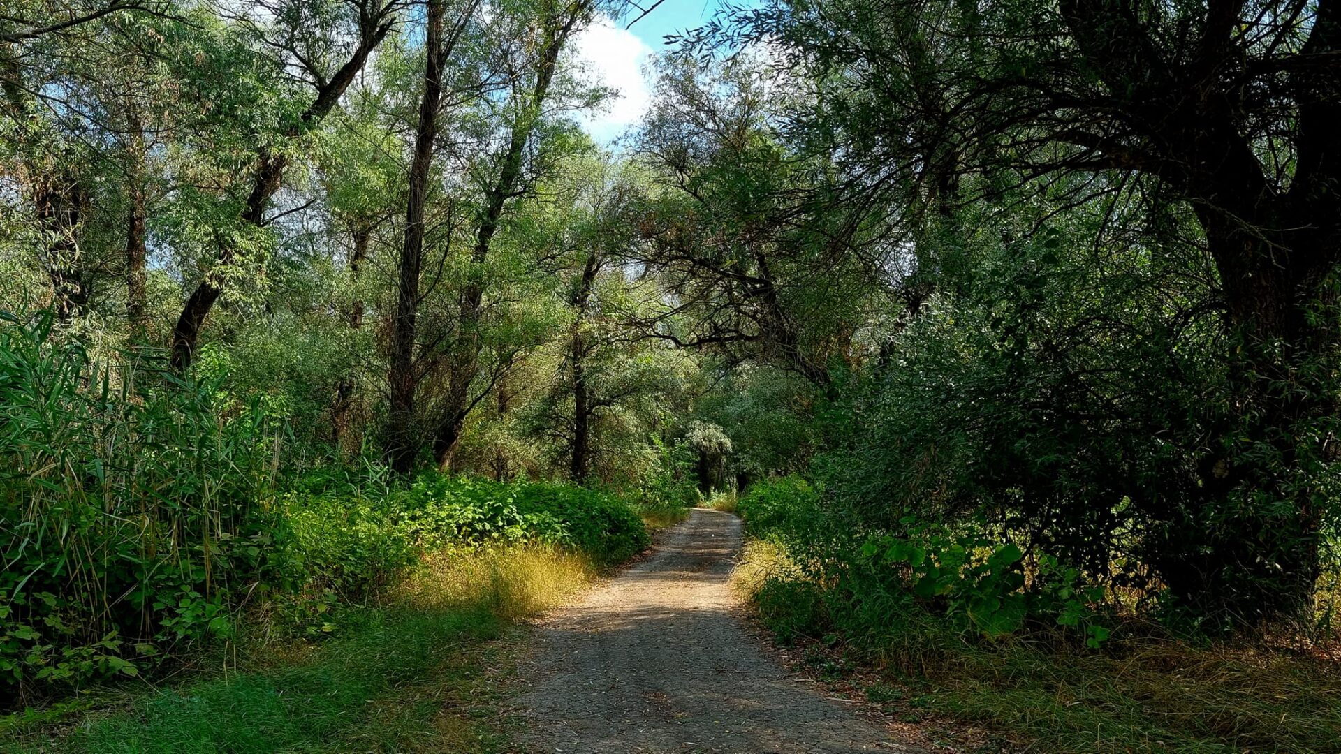 299834849_6038226956225534_7224270343092553000_n