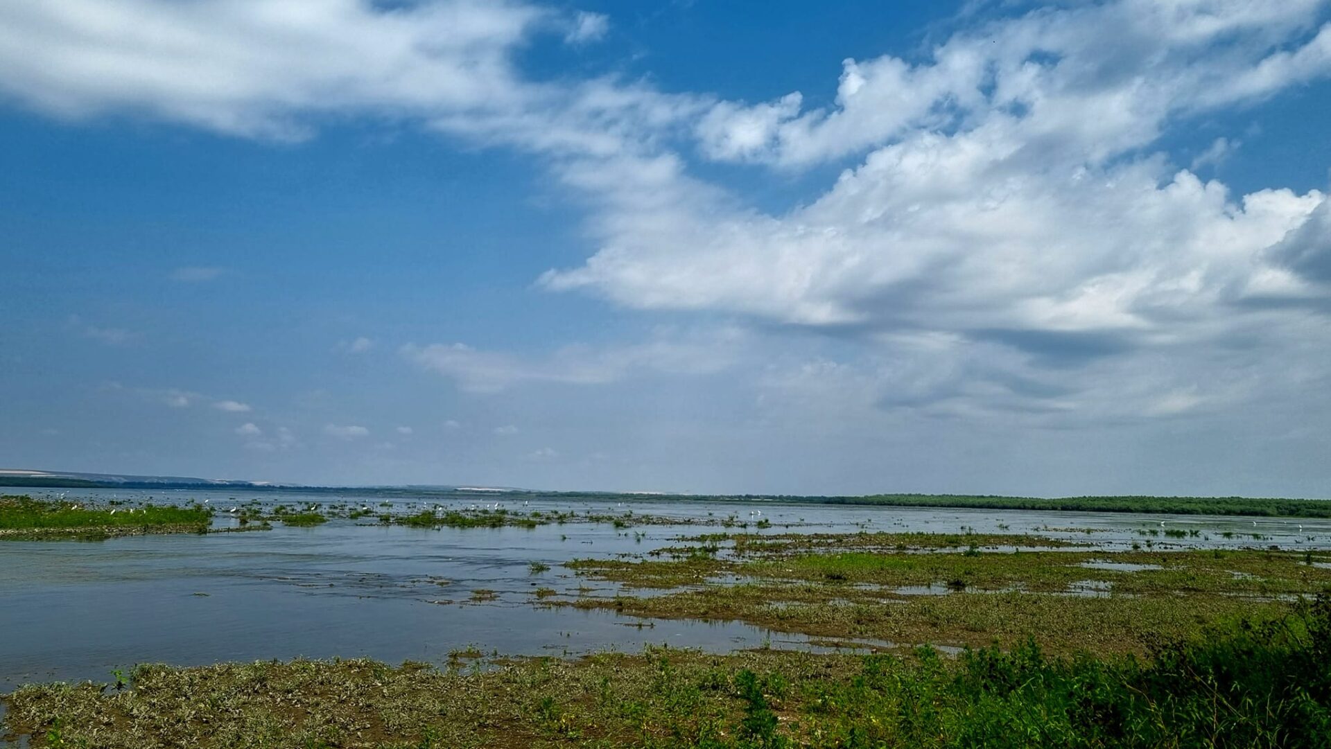 299882346_6038232246225005_1218568942723174665_n