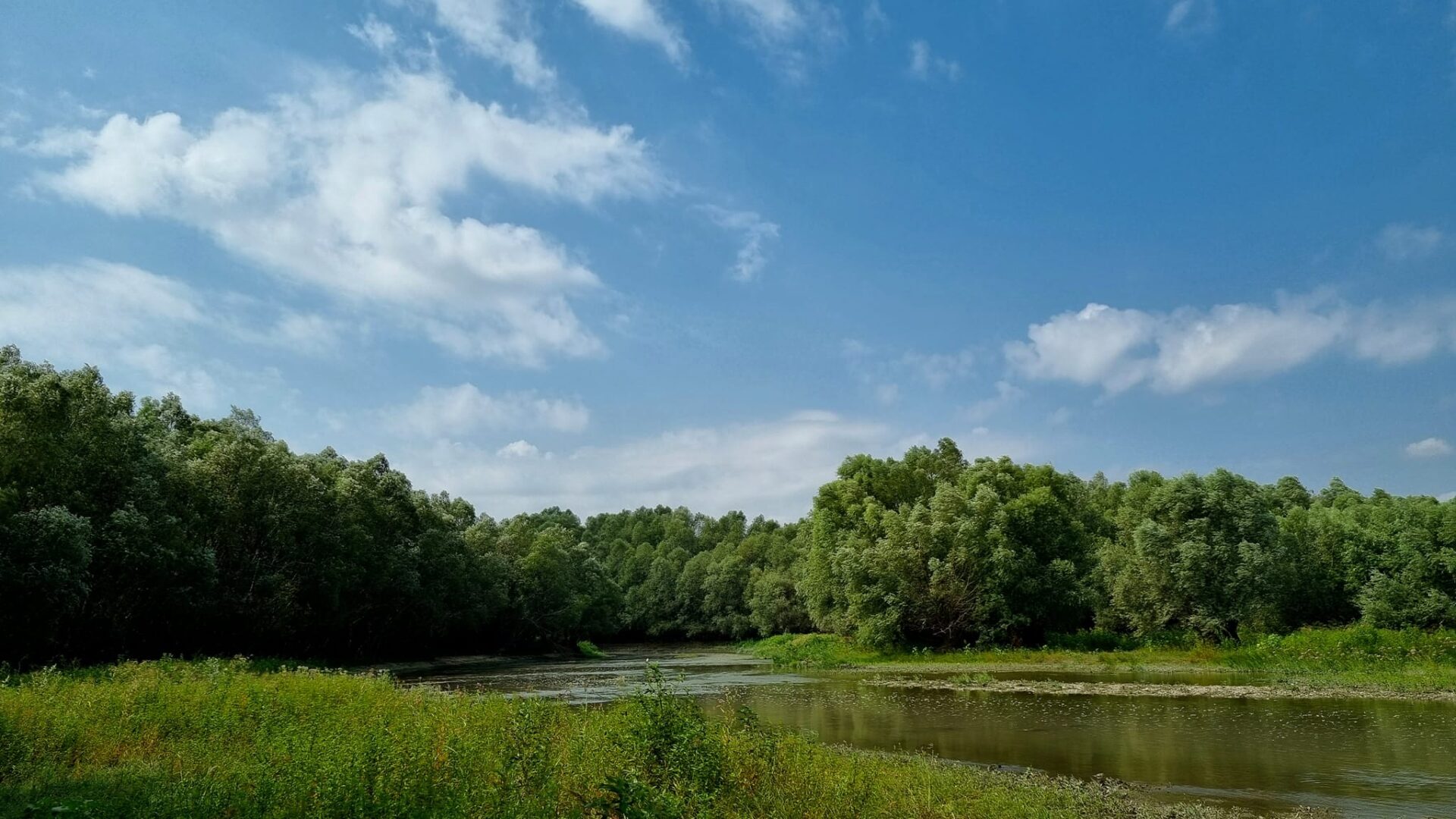 299961980_6038231989558364_2565346471602058114_n