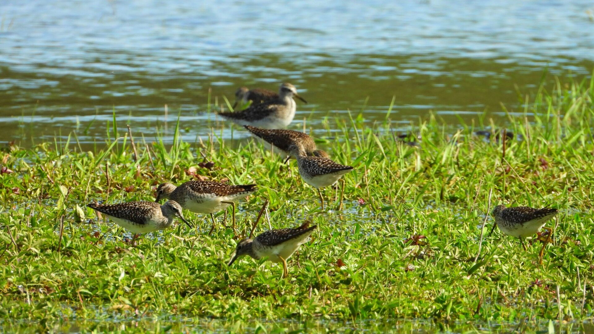 344534340_749804990156464_6089767252799948088_n