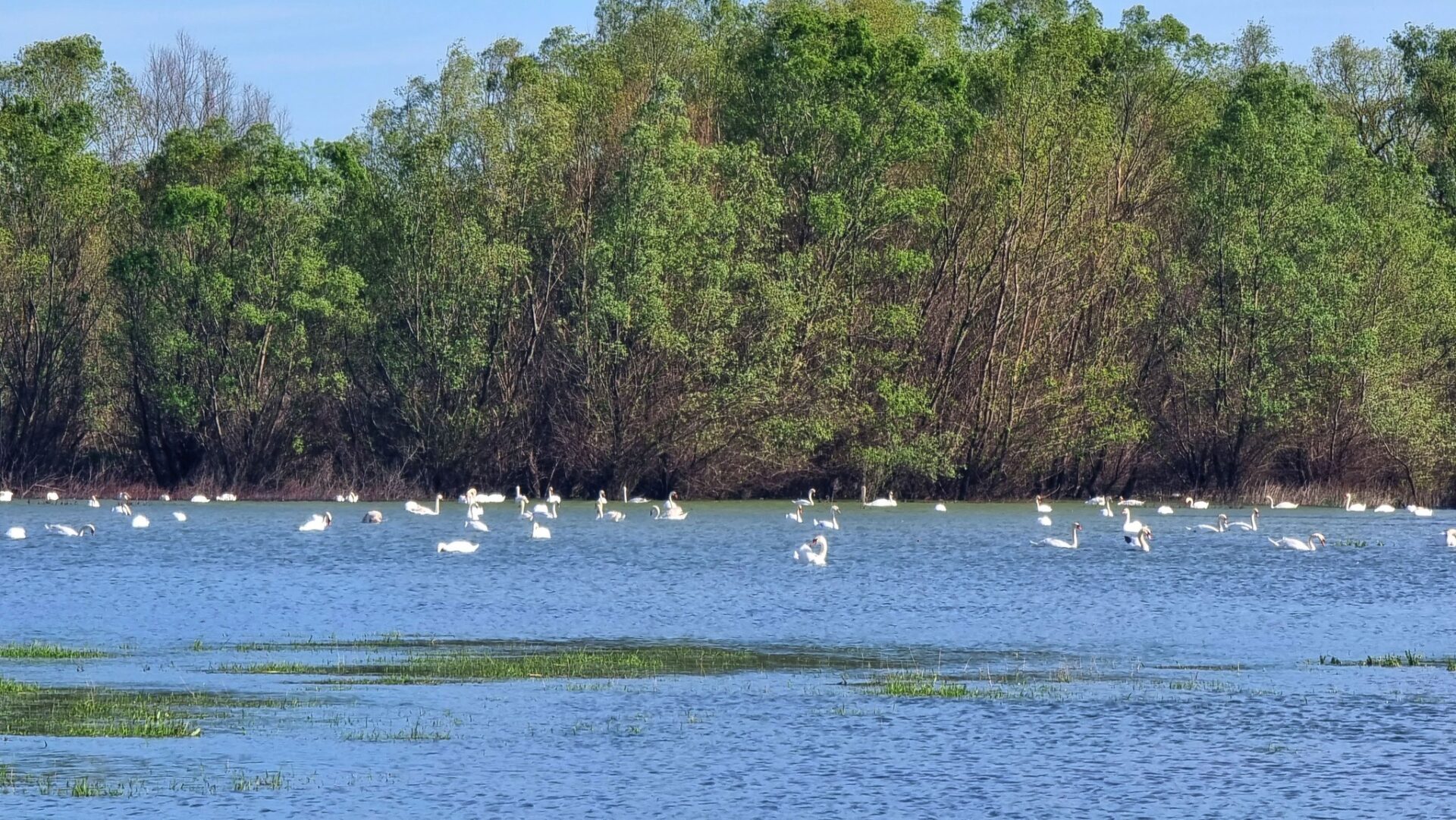 344536074_1289259478378049_736274105991200723_n