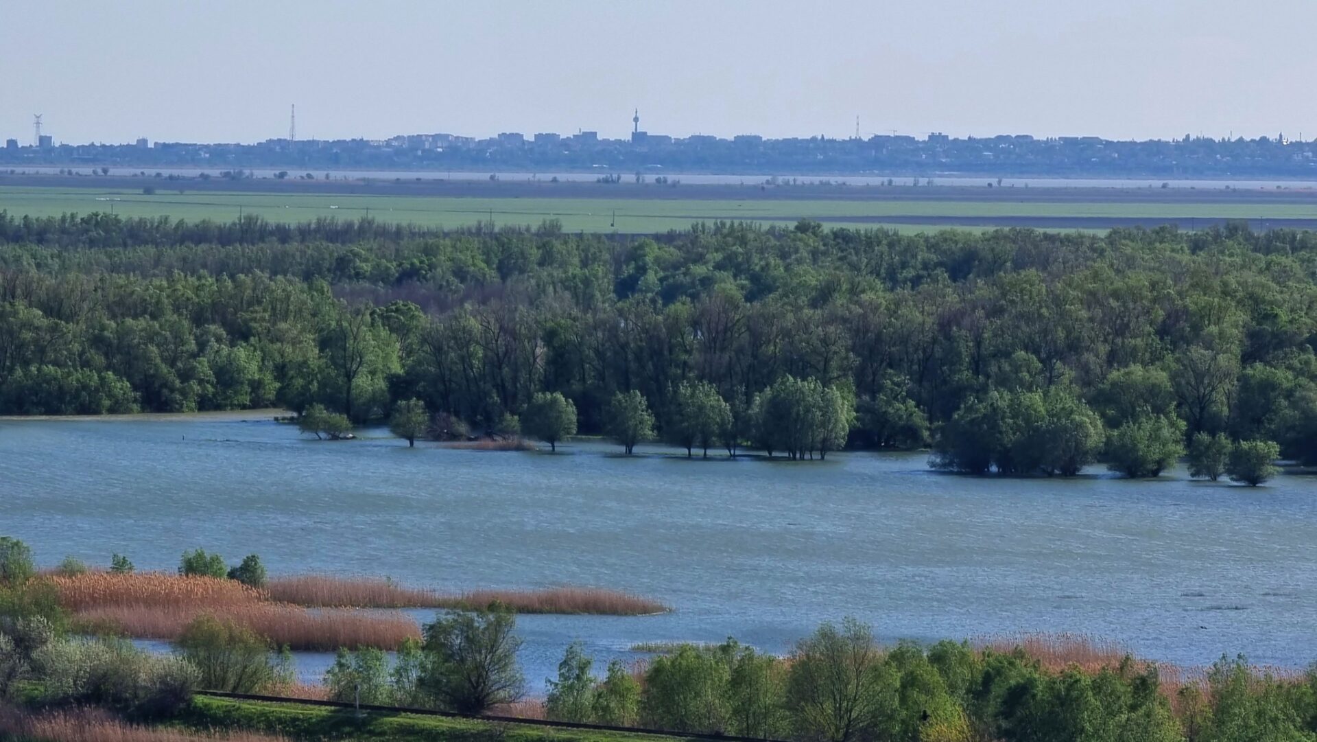 344539112_738655681134199_4792402579771933565_n