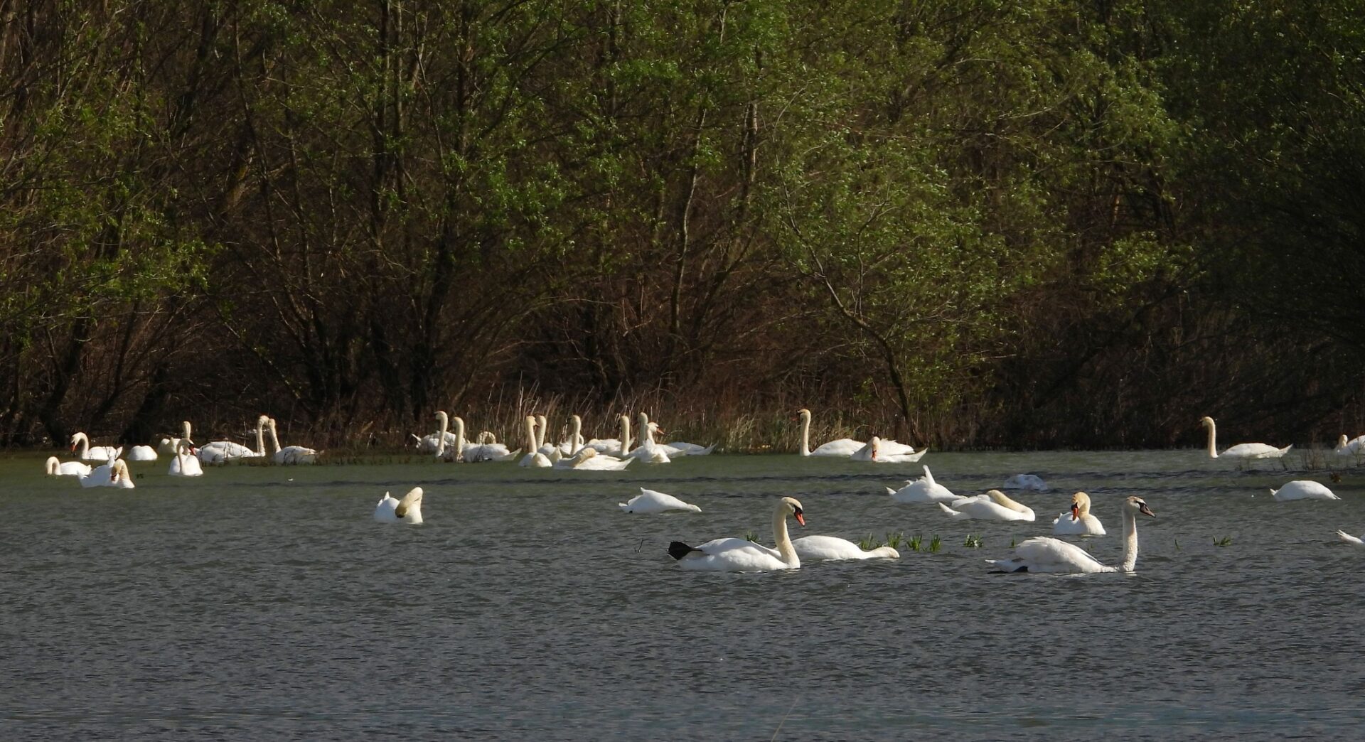 344554443_239062218804842_8206968233364641408_n