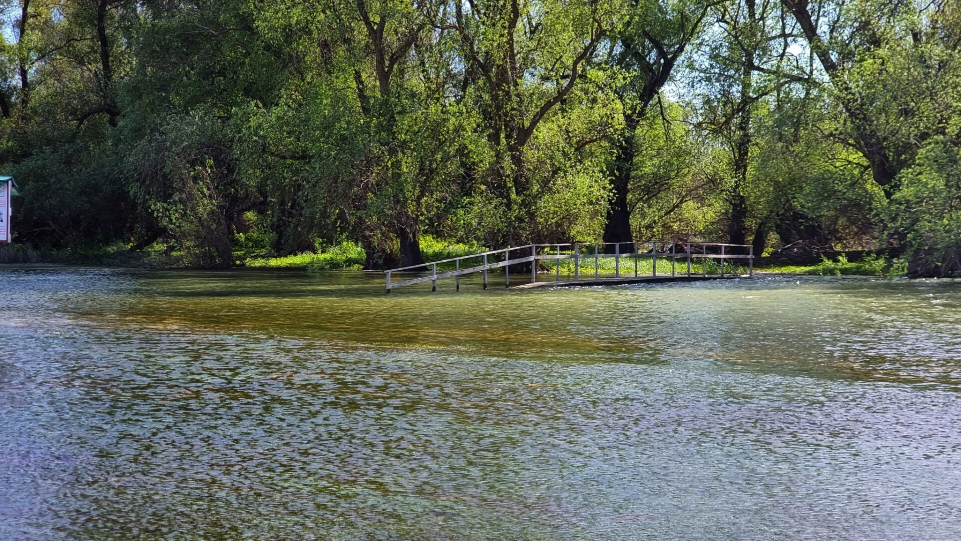 344556766_701753505057974_4974449652847782267_n