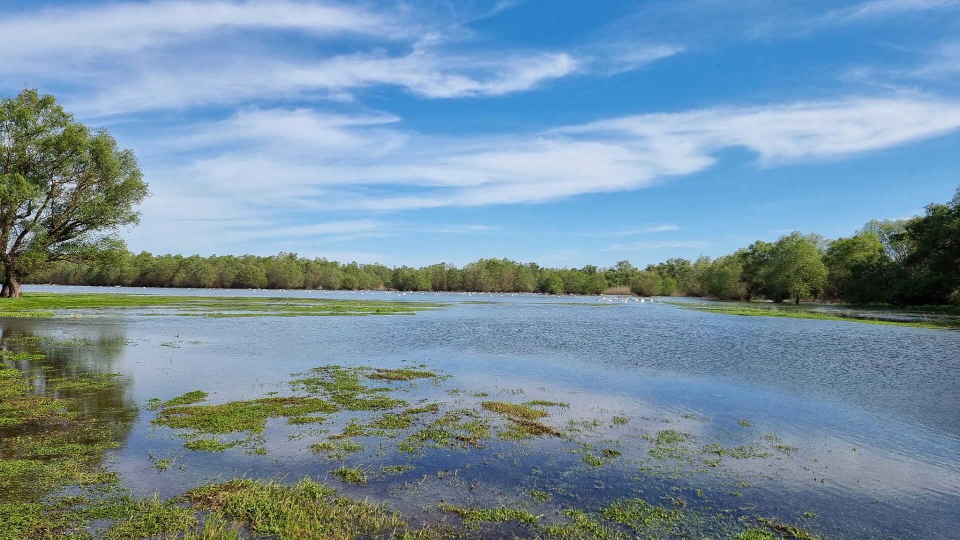 344570268_268433888947116_6893812196435192714_n