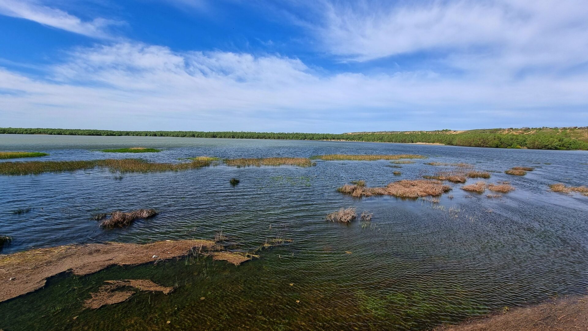 344578538_6651185604916183_2238206218328283531_n