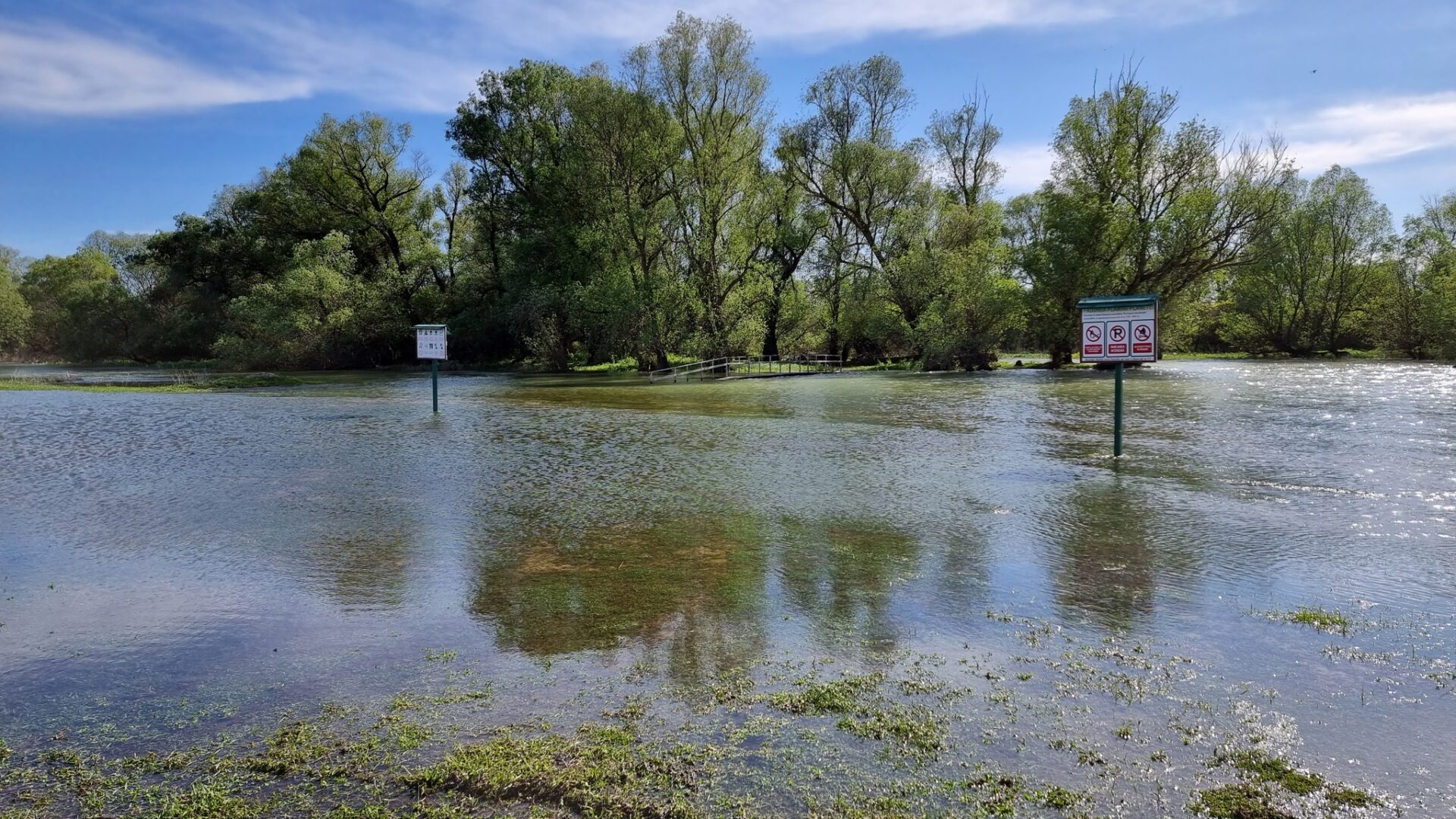 344600896_563504189250752_9165064081364386593_n