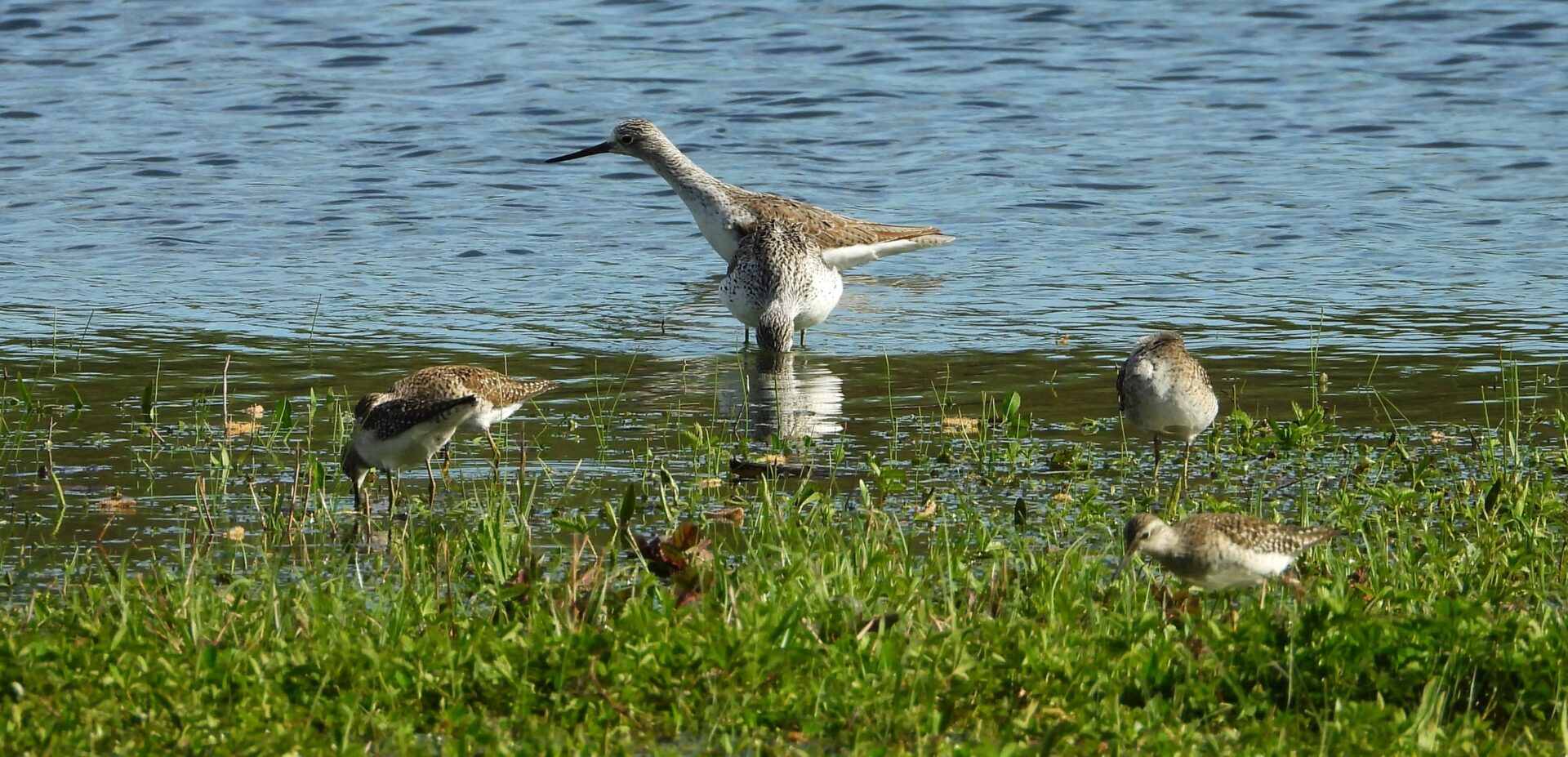 344711192_804004991063822_3446836584501849902_n