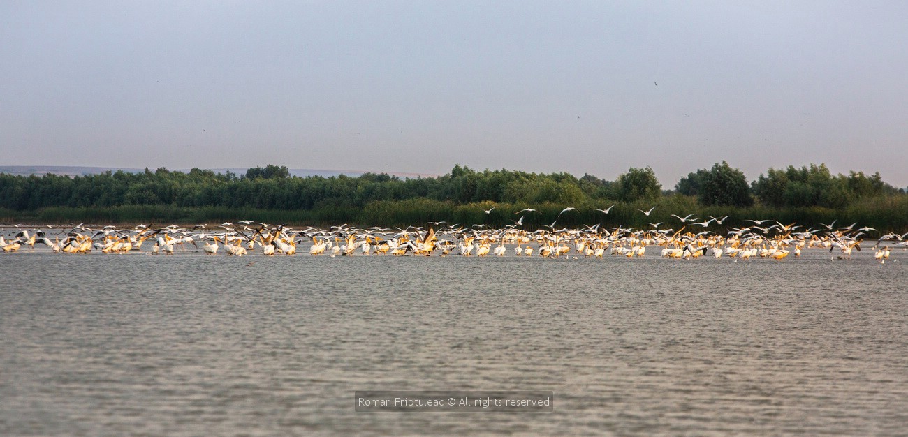 367438920_10225993922769009_7341871111696974048_n