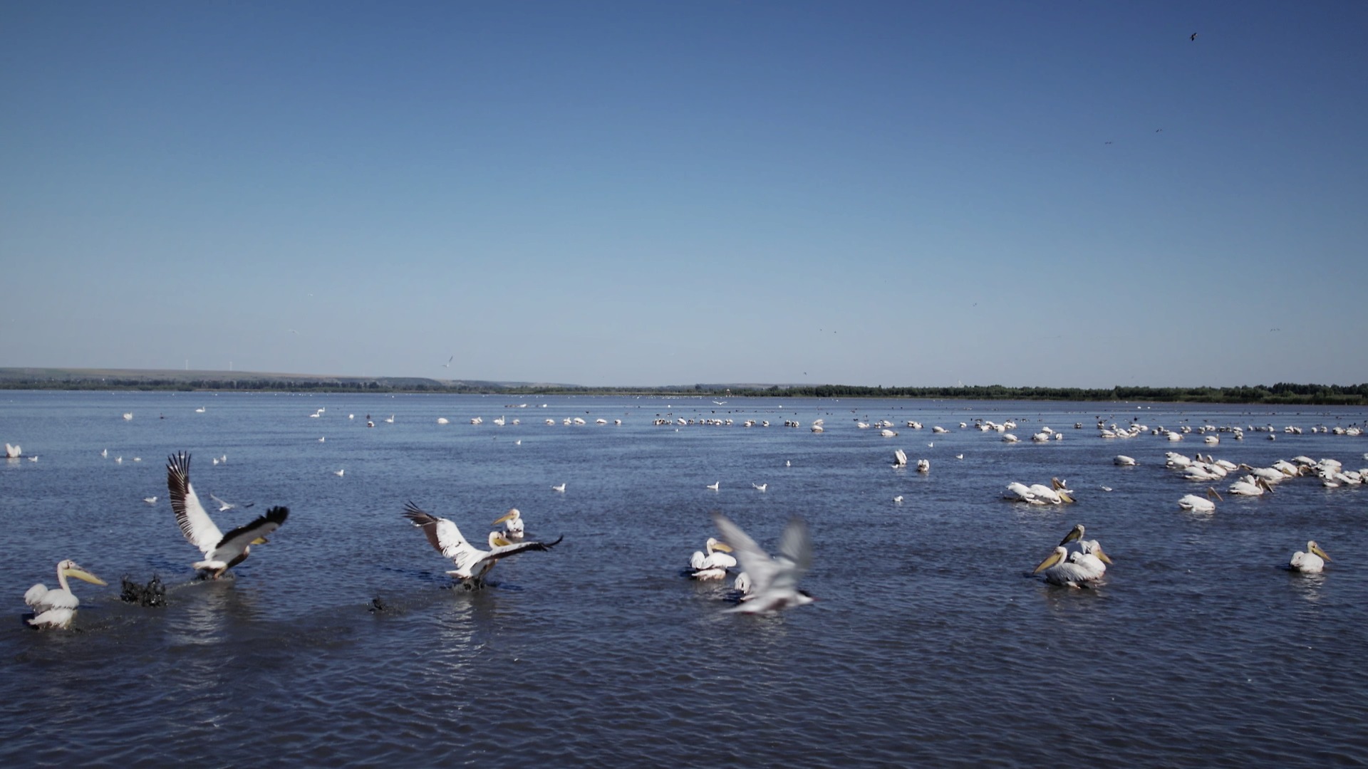 367734528_7261689783869820_6366842183148820228_n