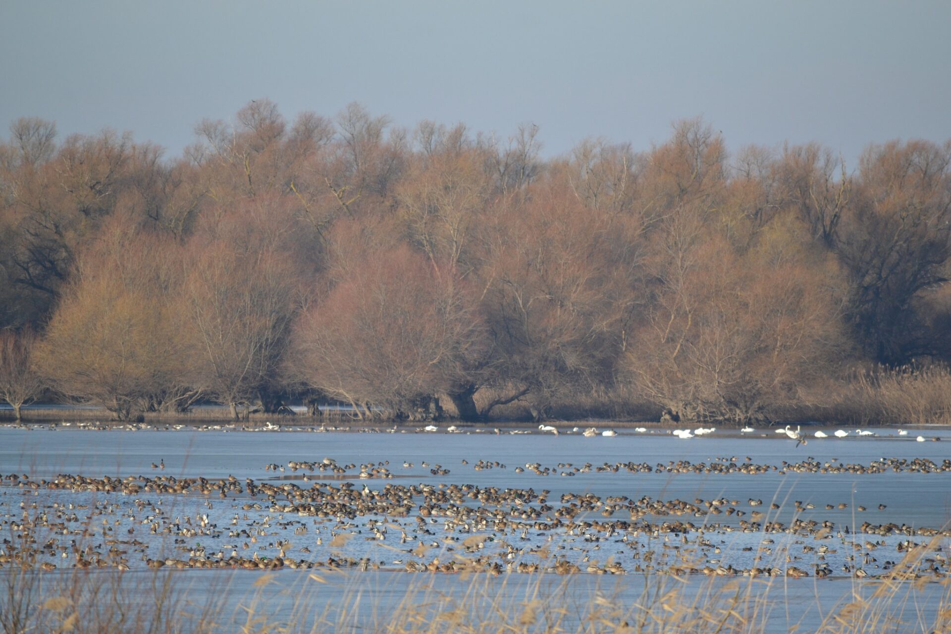 465464928_3879498729035006_5756476479768282538_n