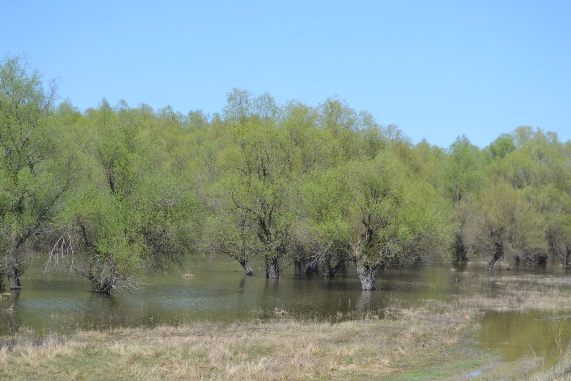 465465331_3879498952368317_7882875686912853868_n