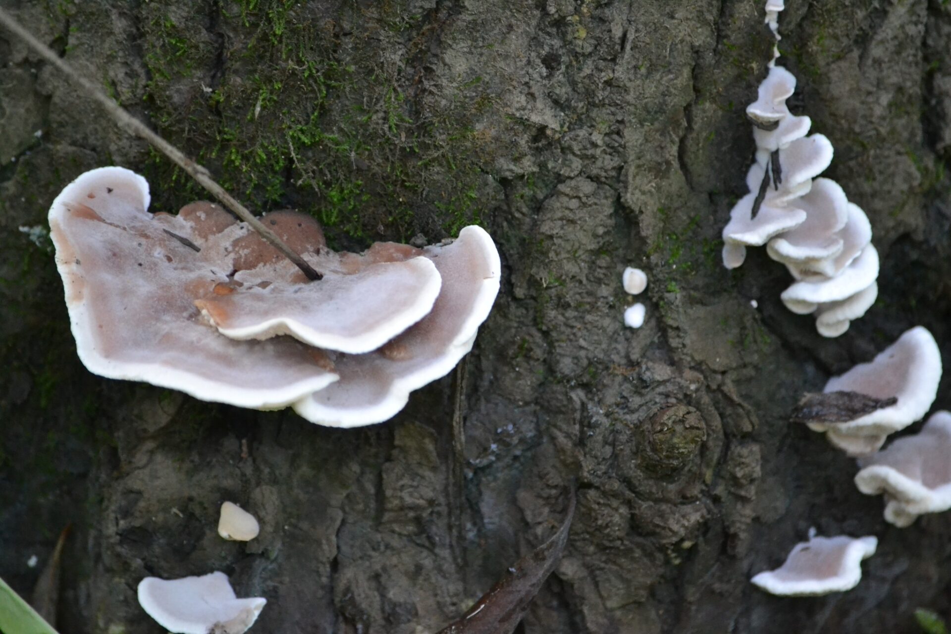 465555992_3879498065701739_8689615889460975938_n