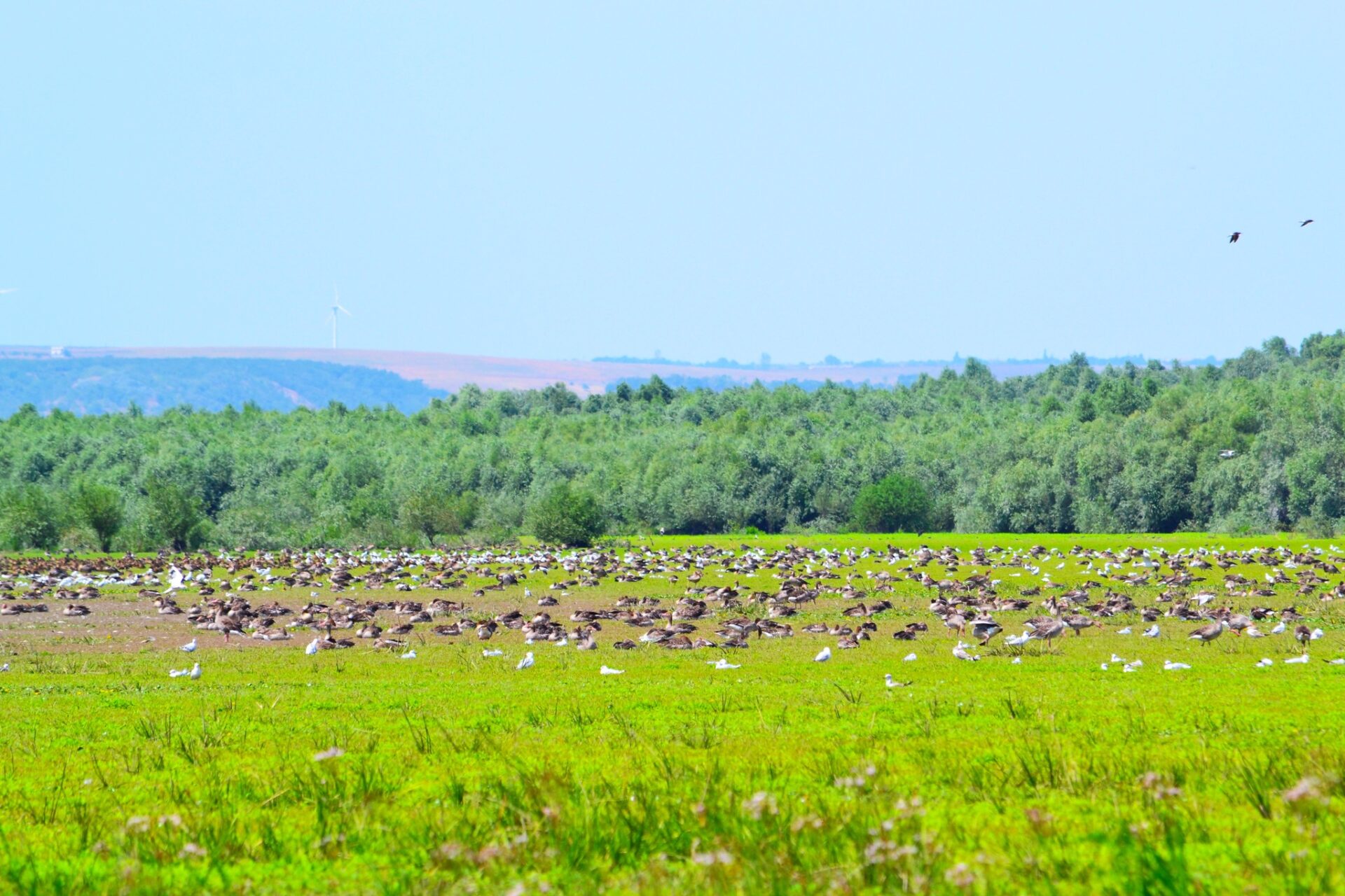 465563900_3879497922368420_2177207098403445083_n