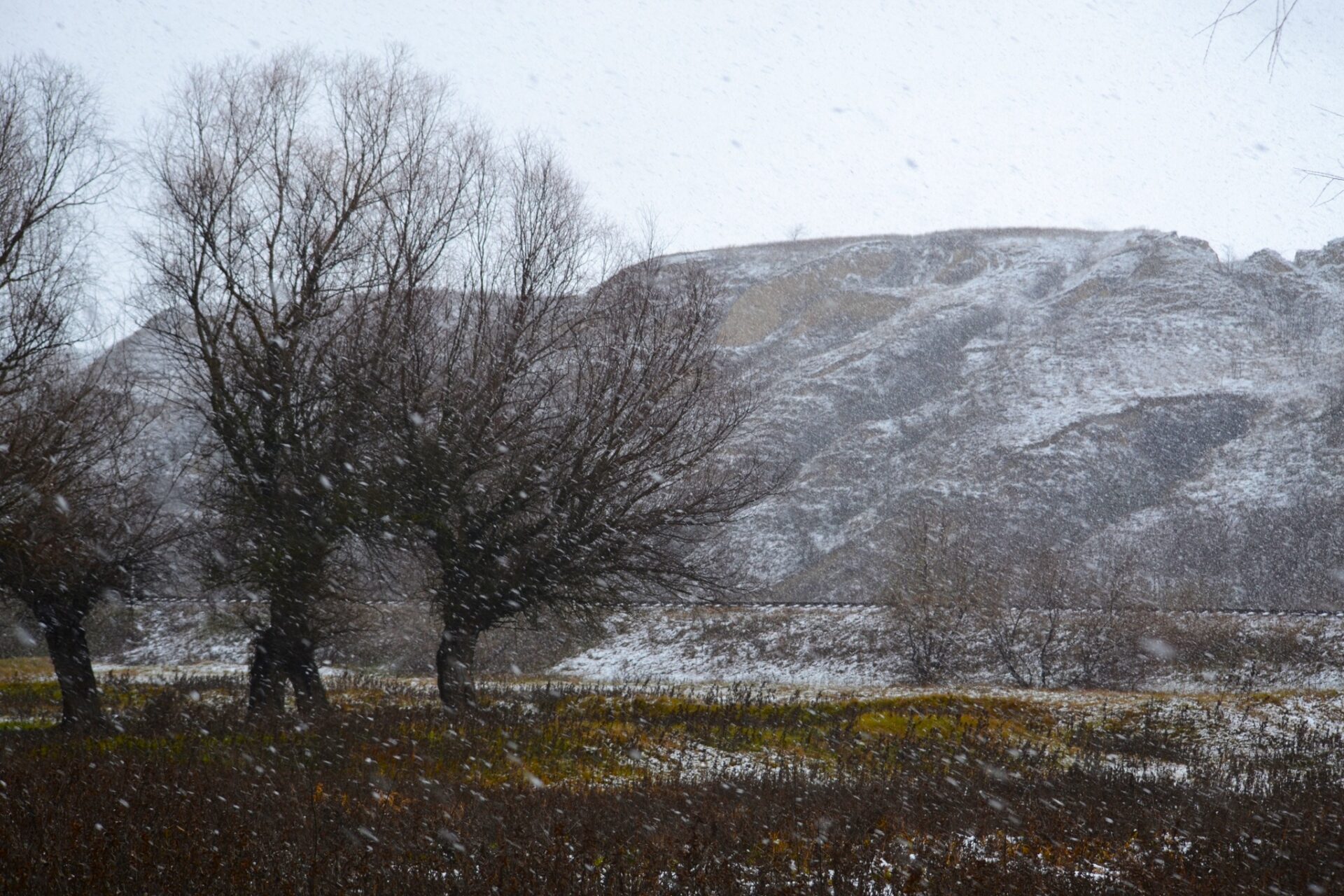 465599737_3879498415701704_6286993258920628327_n