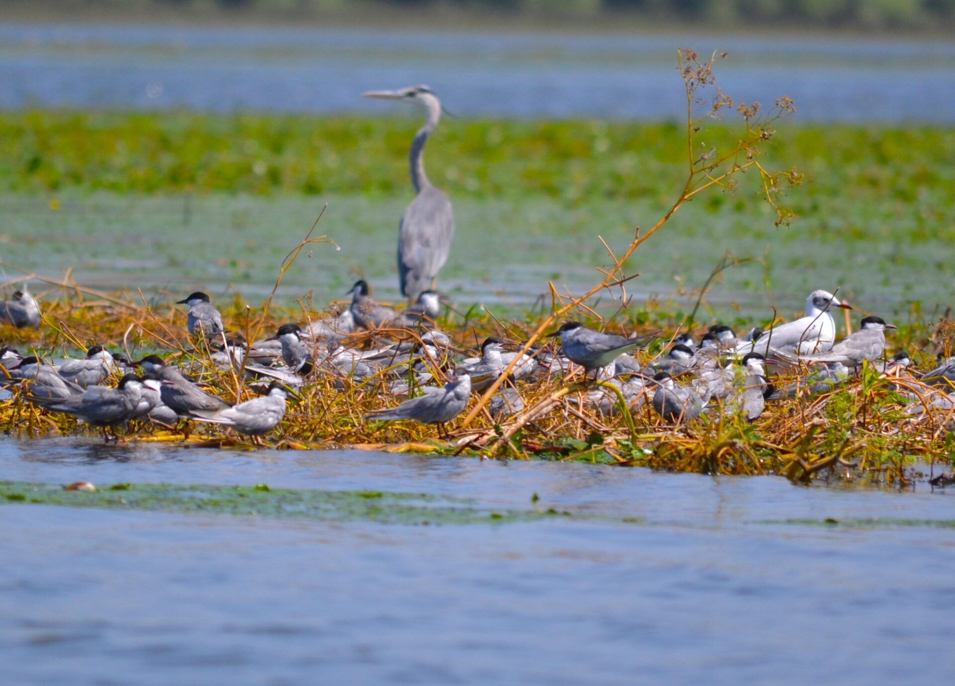 465676617_3879498012368411_4406403563100976028_n