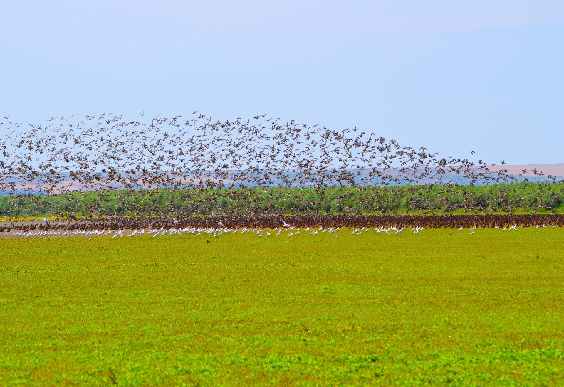 465705136_3879498435701702_2298323637317938734_n