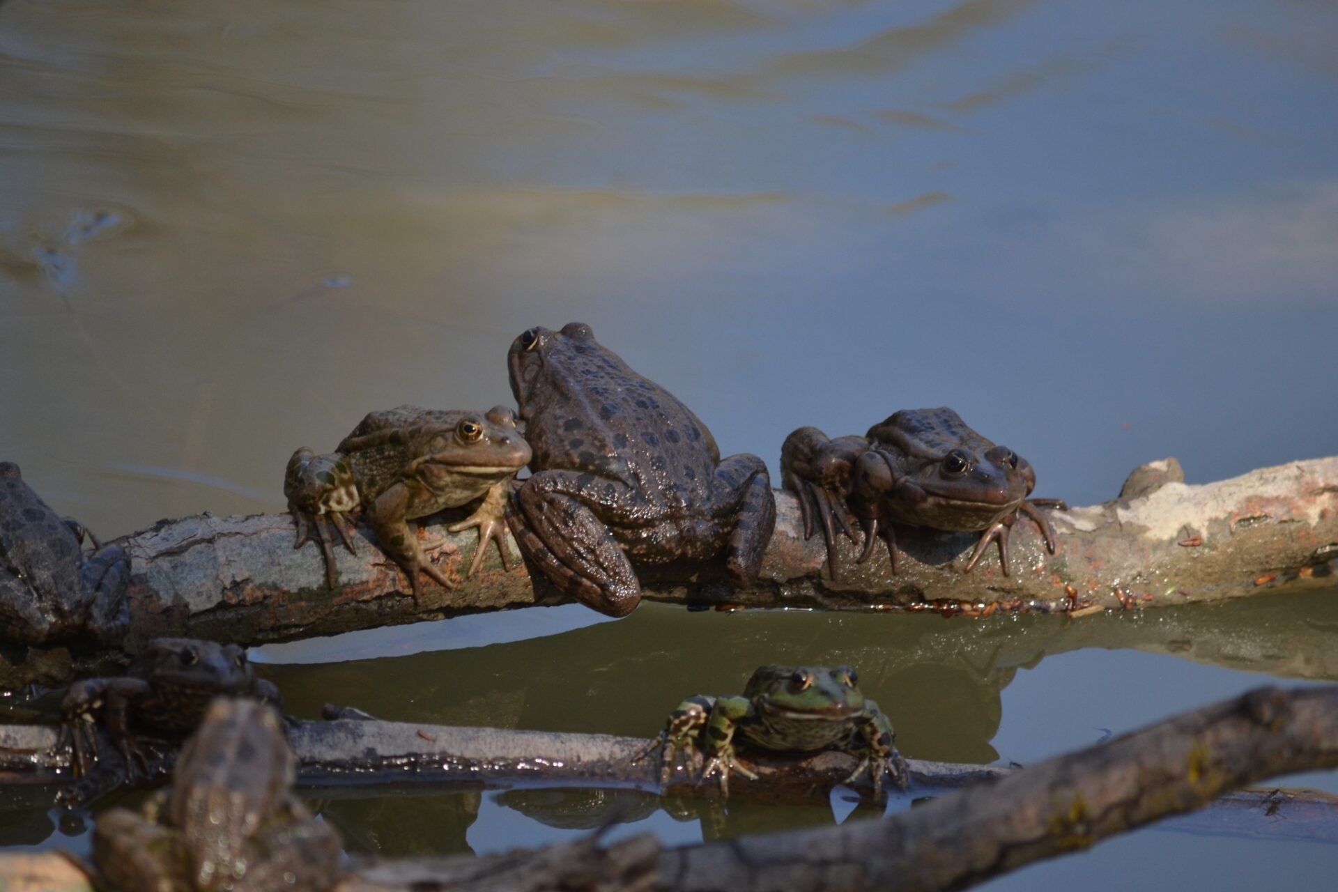 465732556_3879498912368321_1492983485190990073_n