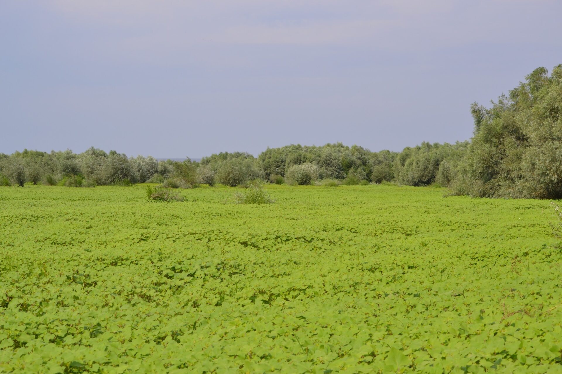 465733243_3879499682368244_426665215048275259_n