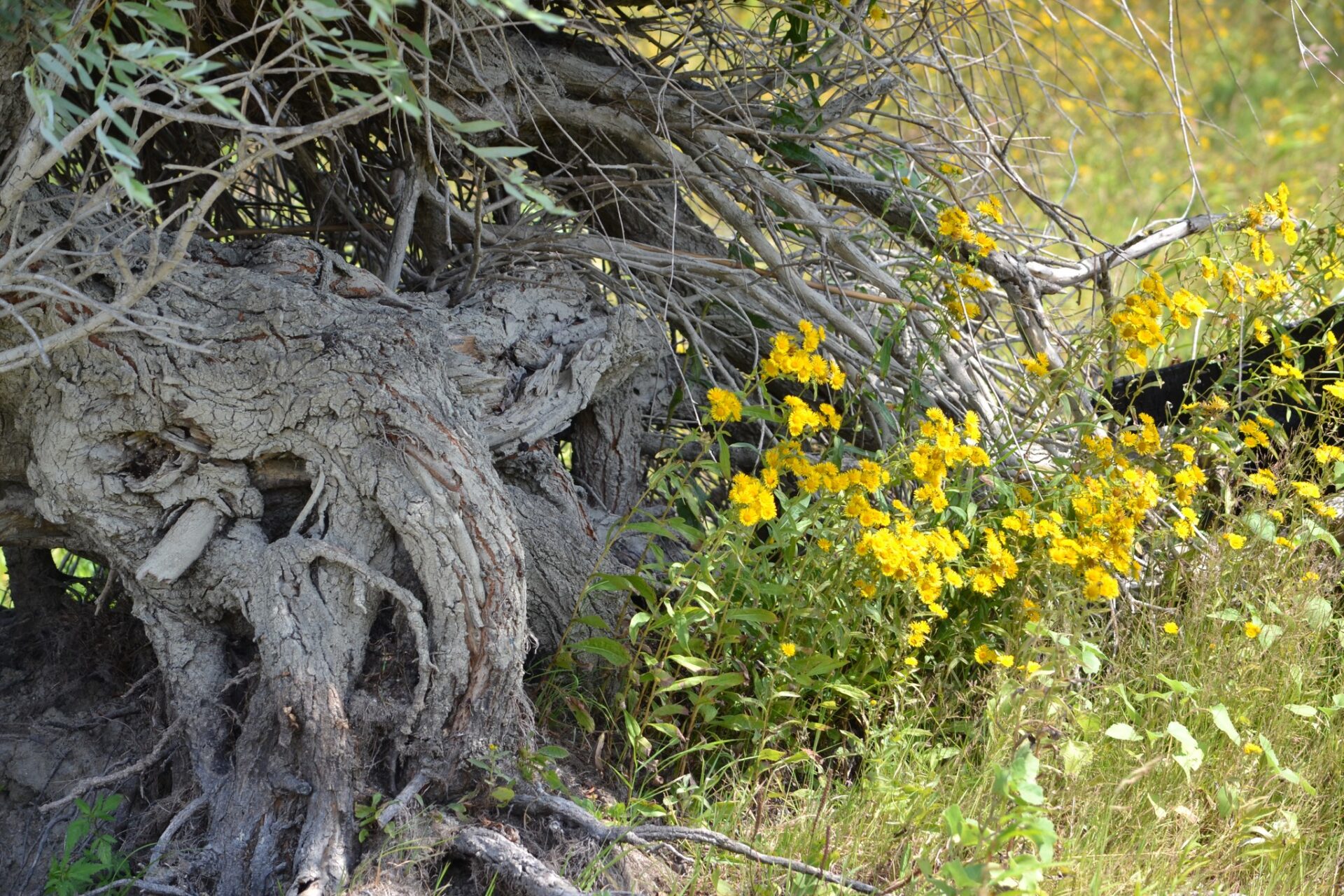 465925923_3879499049034974_3733150091840462791_n