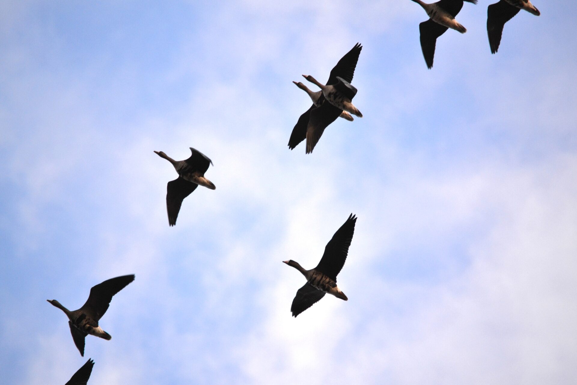 466362394_3879498572368355_4850284713678545620_n