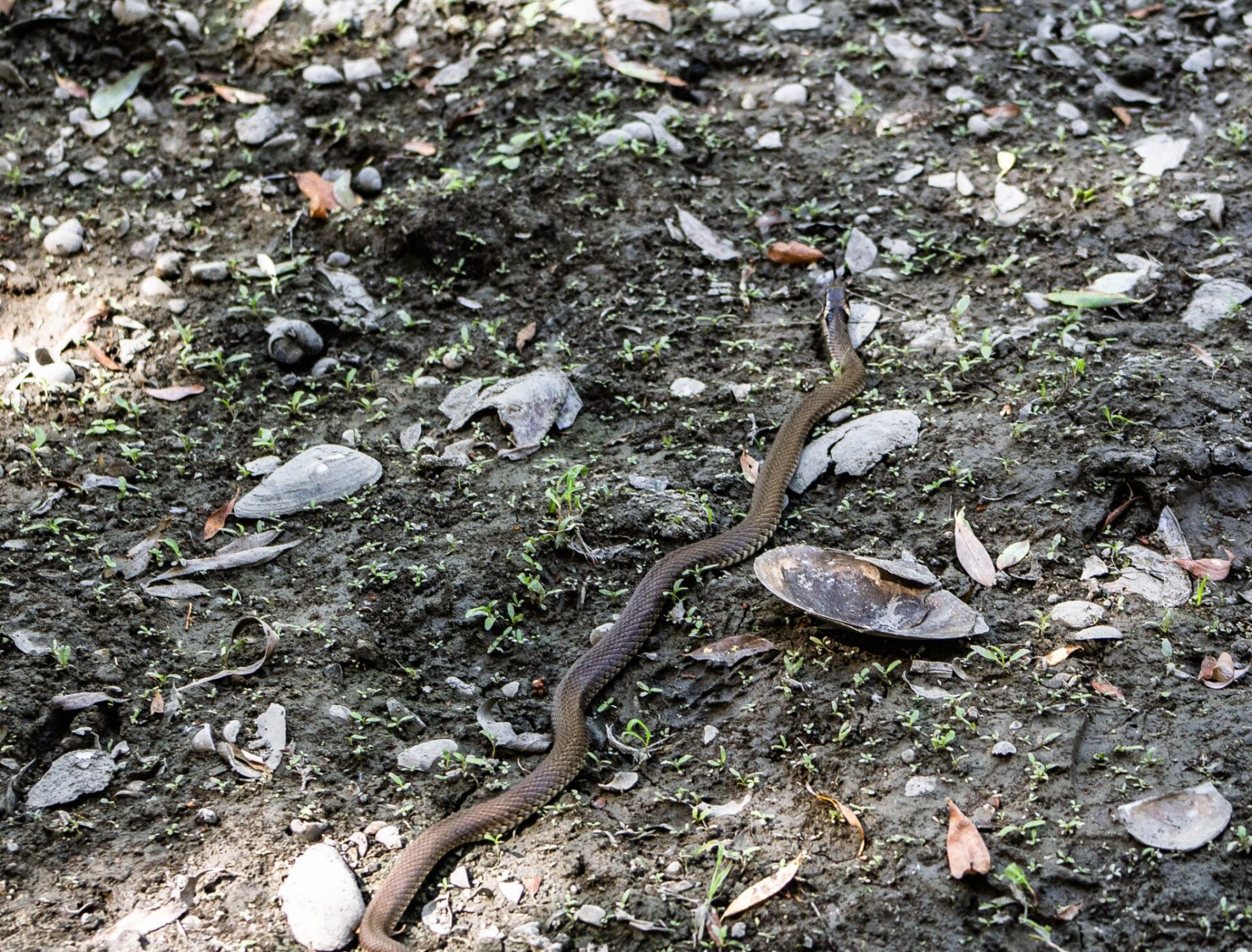 473734558_1655707438354838_1158191730439819198_n