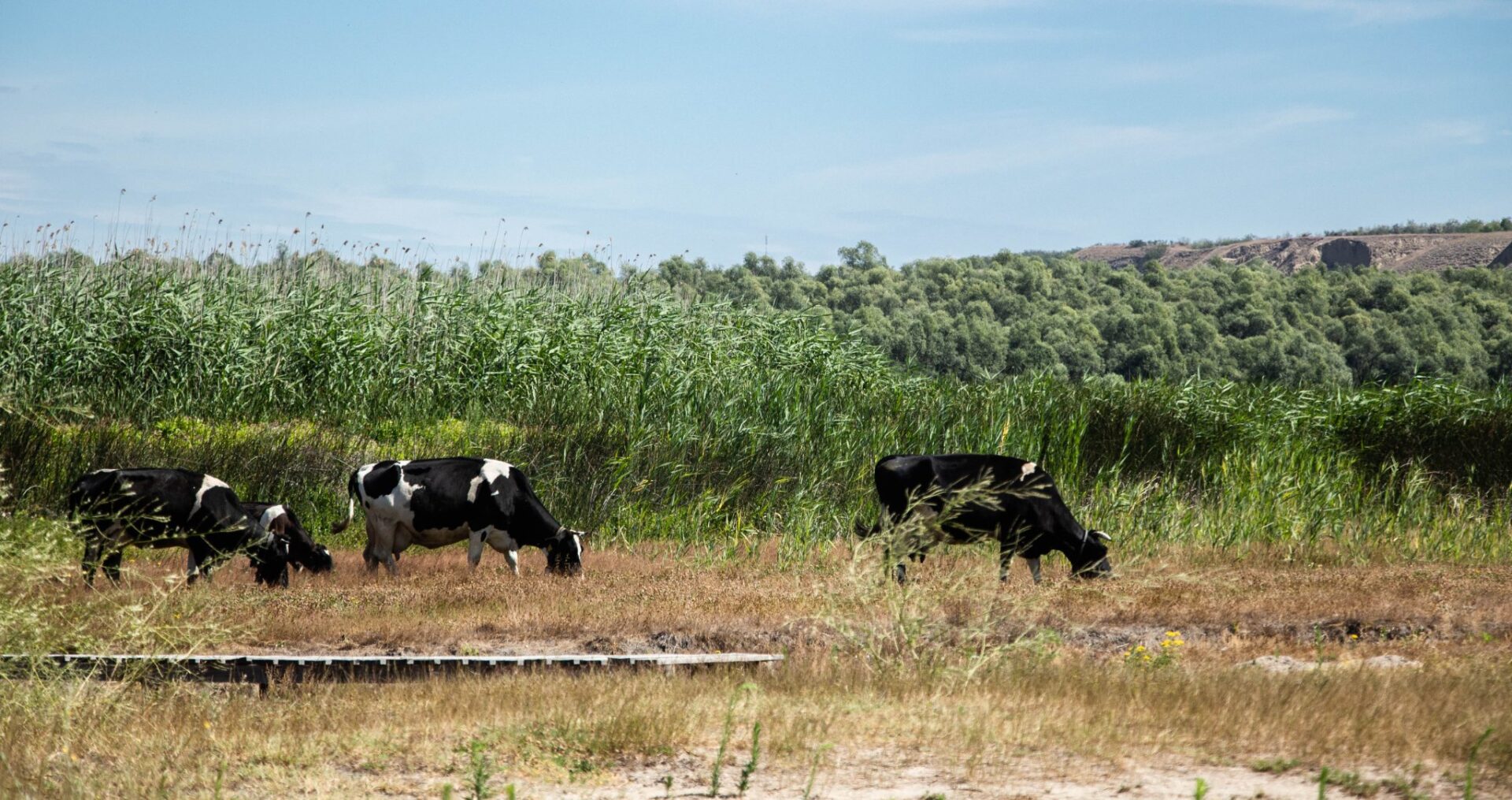 473990403_1655707678354814_1389063168851479374_n