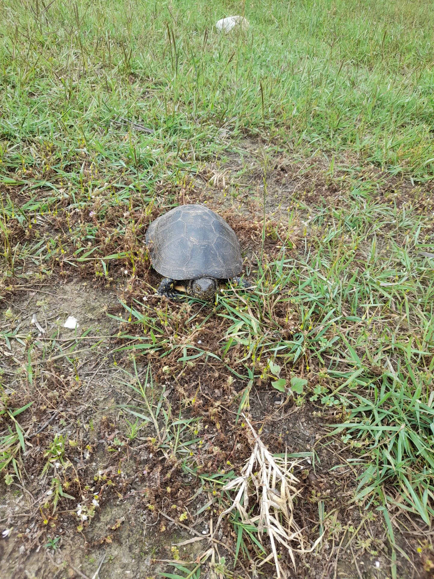 476249791_1405950483707685_8010643069323469176_n