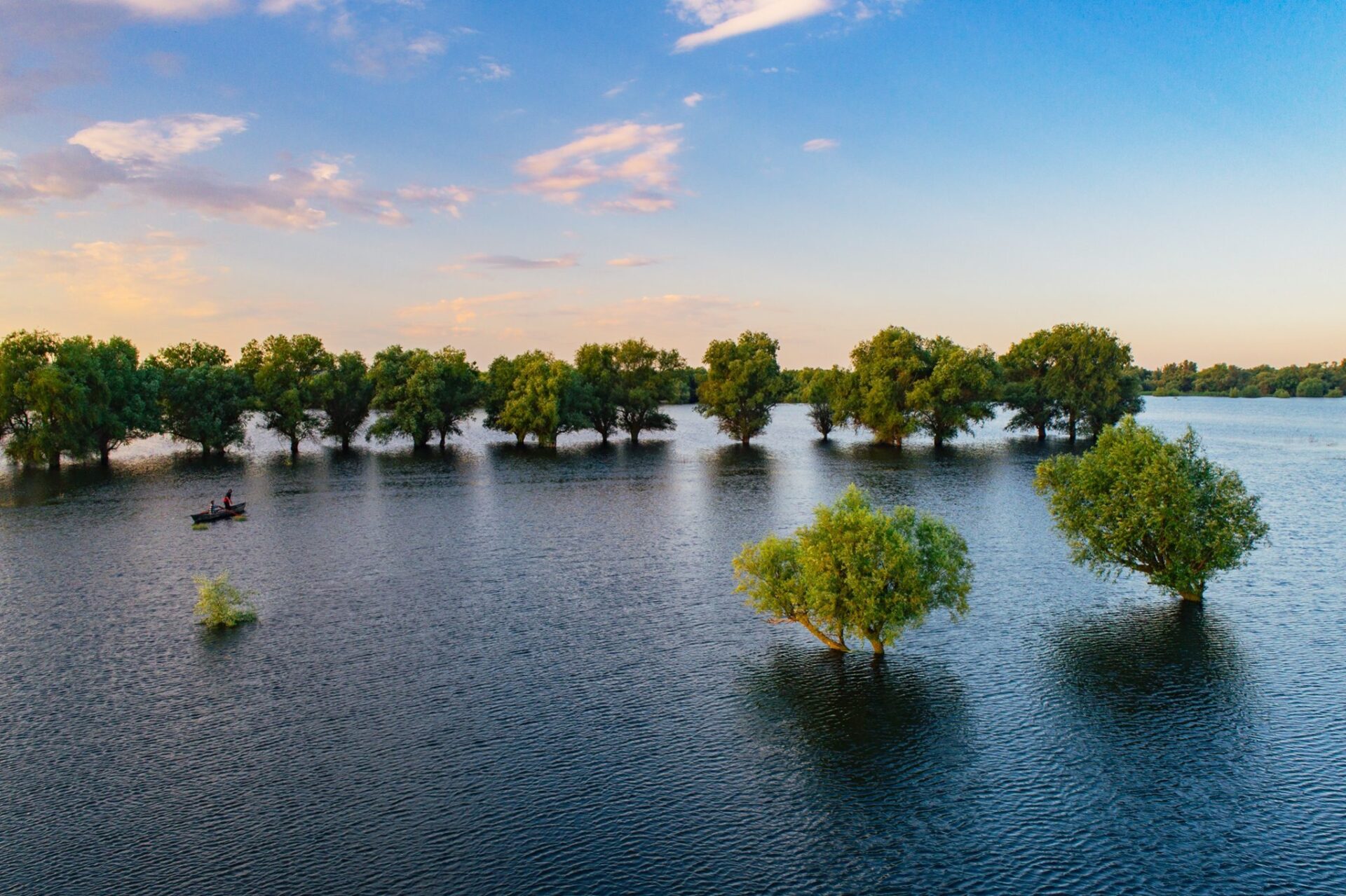 478911105_1411602449809155_7644810458852225831_n