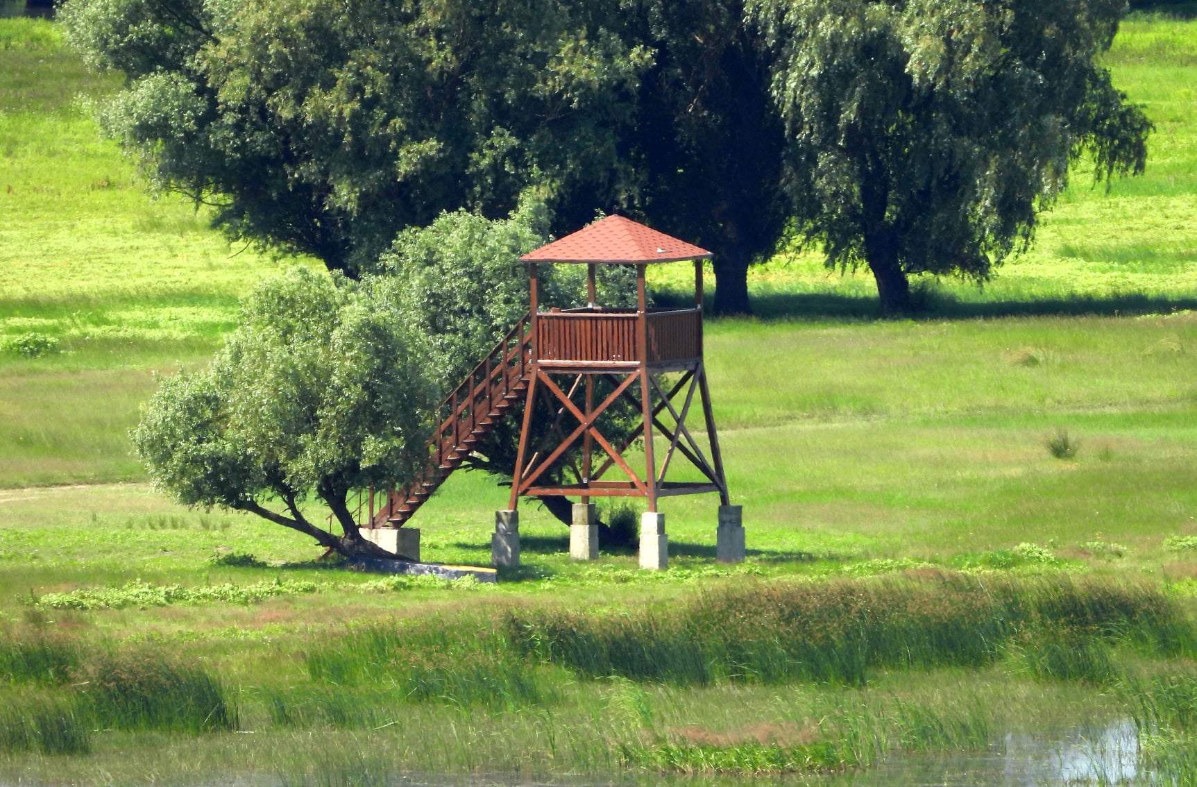 479642483_1411602243142509_5449760645917369245_n