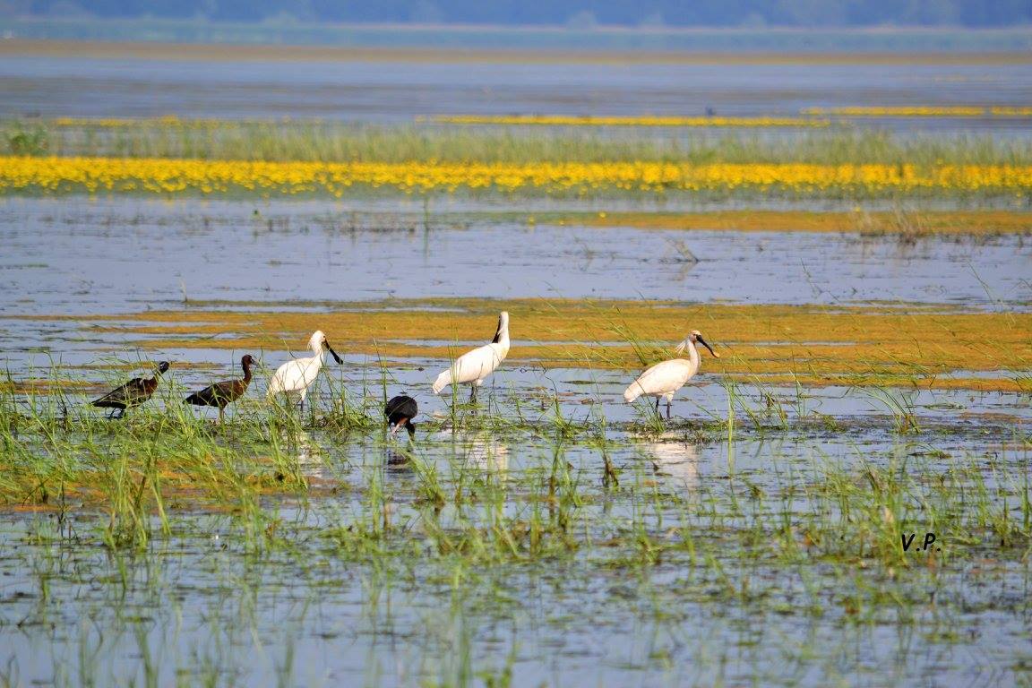 480232971_1412474243055309_745812843969952449_n