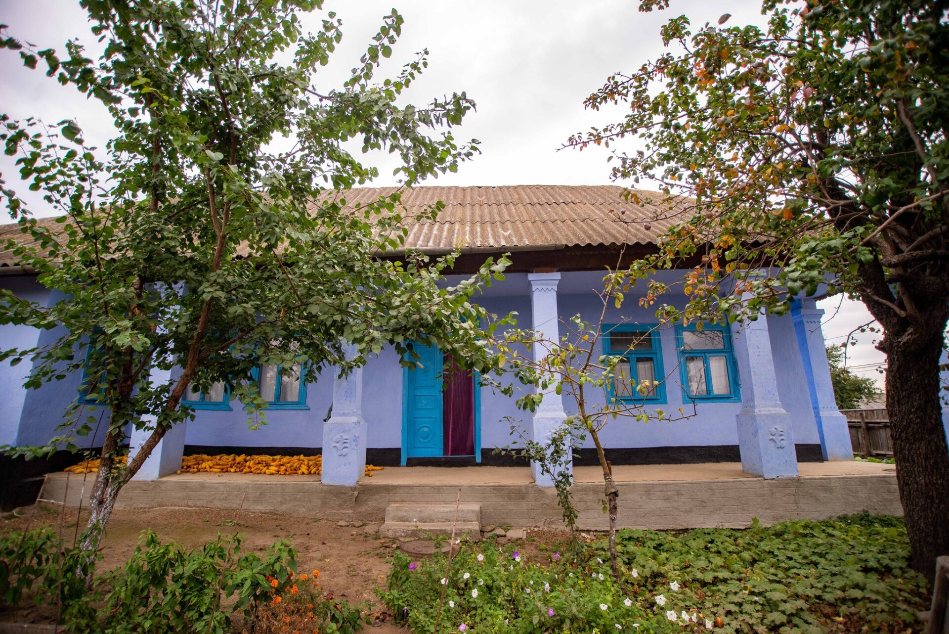 480820096_596567616616901_5031749709005980691_n