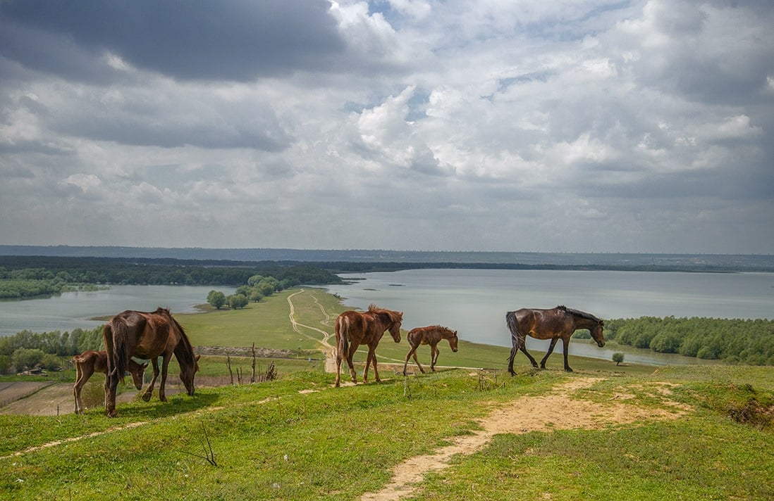 486503921_10230433883085242_6980494210314513149_n