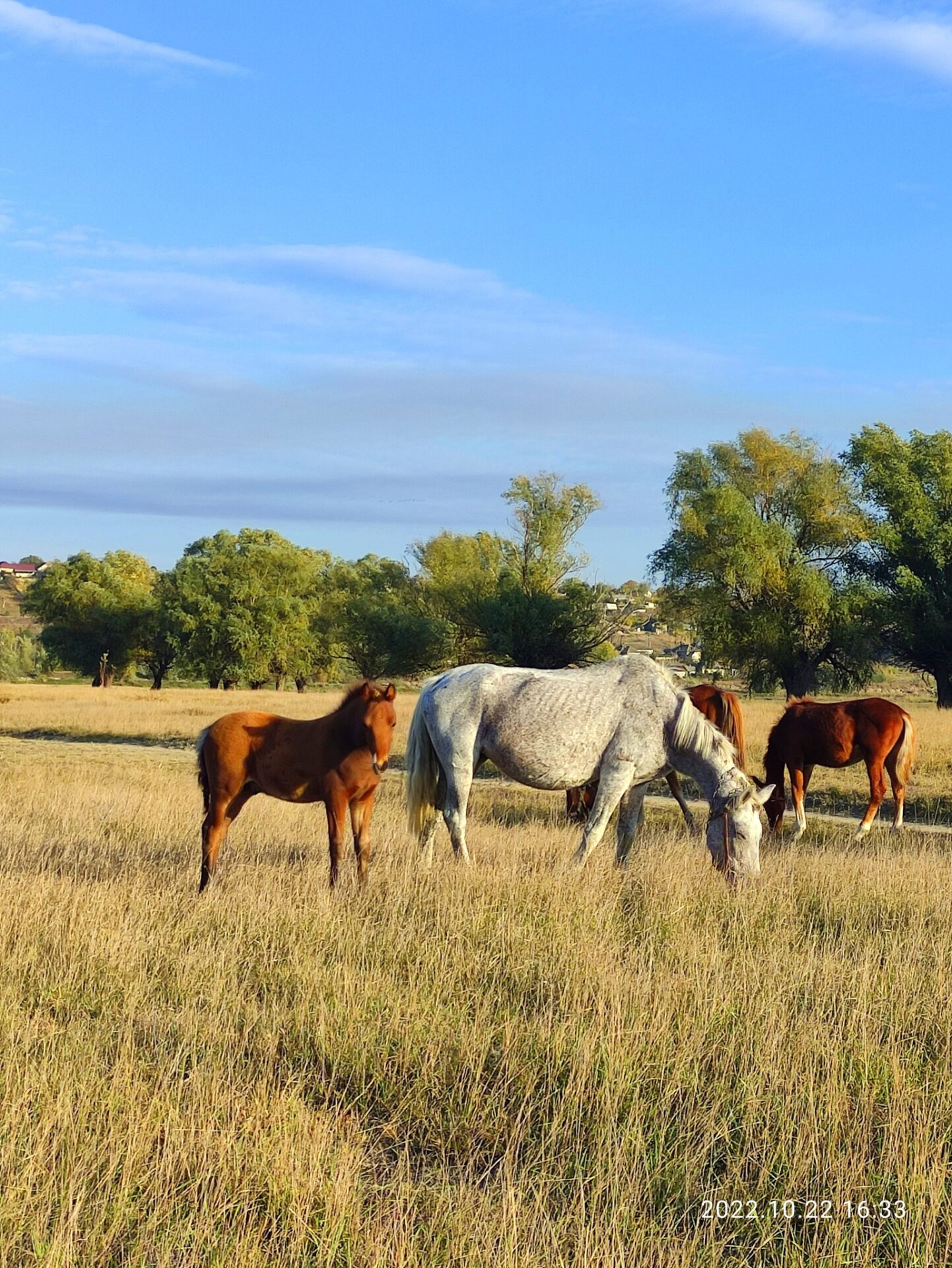 486612239_9367993226630812_3699866409989149372_n