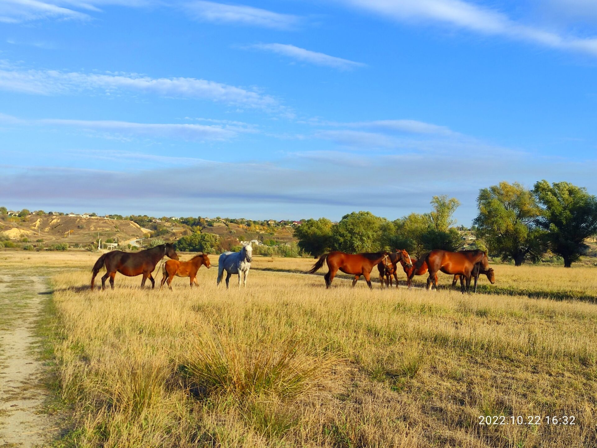 487430892_9367993106630824_3826954612616010930_n