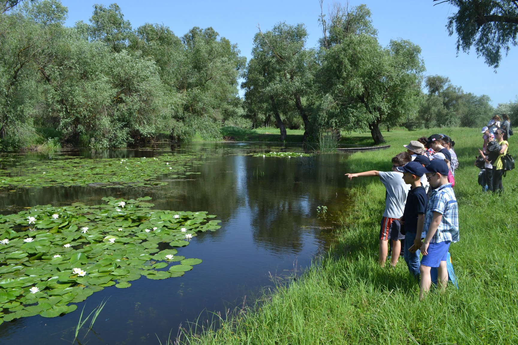 63063875_212773096358769_3613873628468215808_n