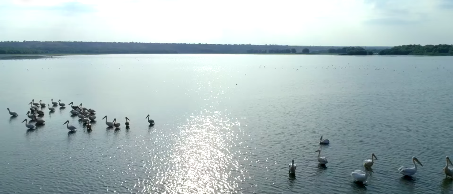 Captură de ecran 2025-04-09 161940