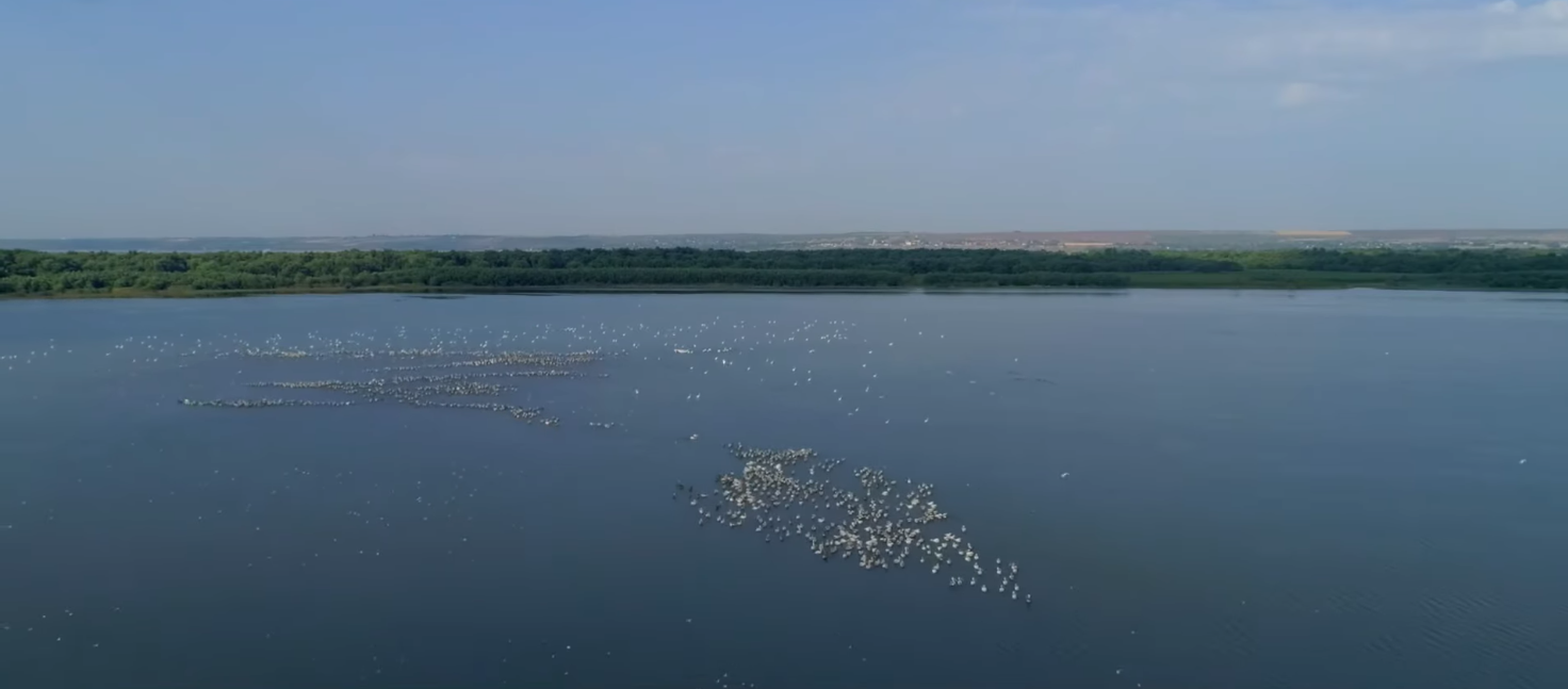 Captură de ecran 2025-04-09 162029