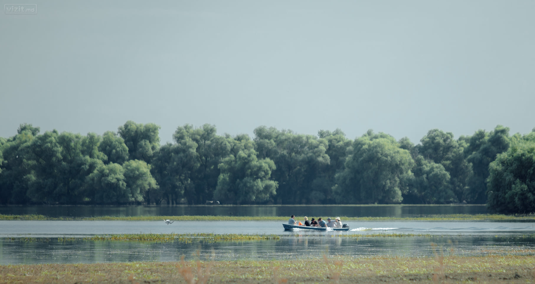 127704008_102620041696415_8950516909059712270_n