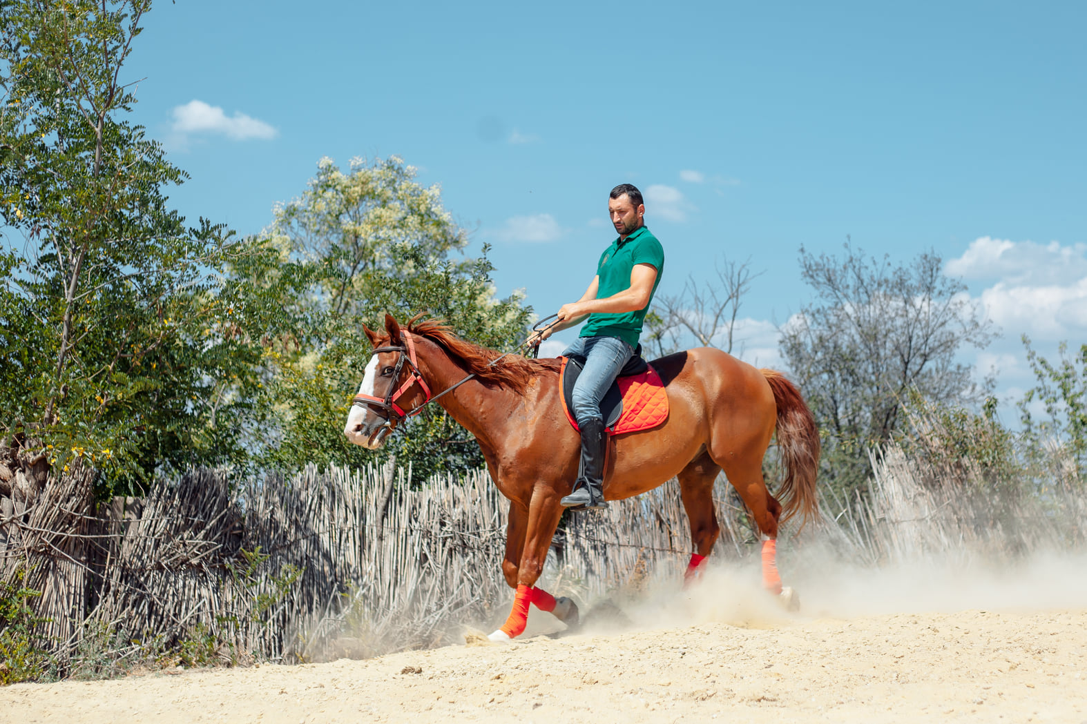 127799930_102618055029947_5820381037509272858_n