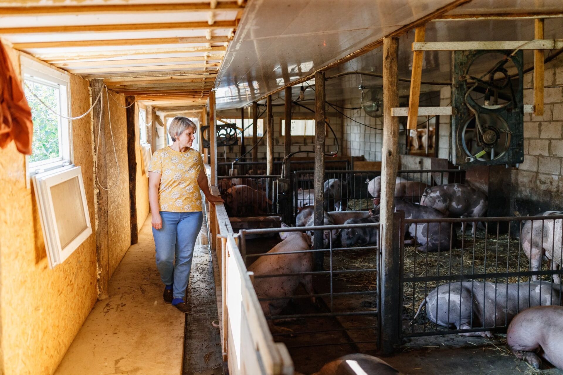 131173636_3513395055396944_4068140189806251057_n