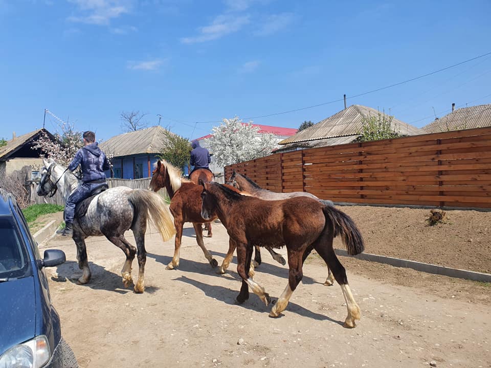 178362284_187993406492411_1231364823410348057_n