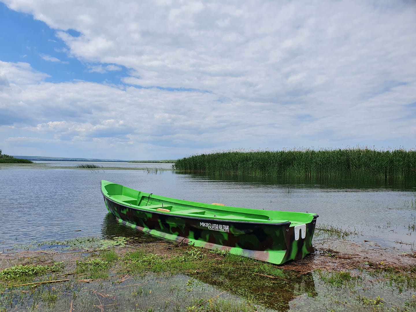 196267758_213219447303140_6012444969980015831_n