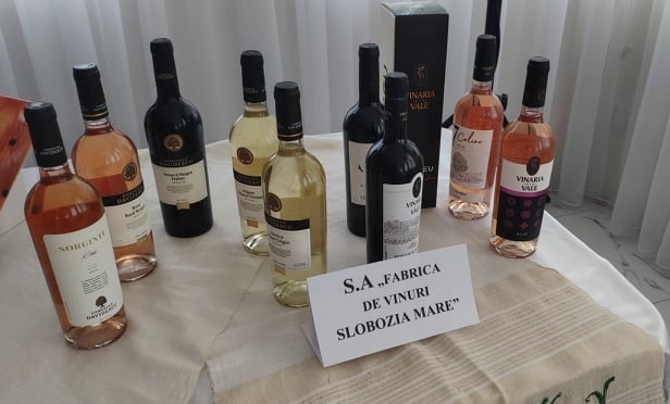 471662139_9015677628549236_6228896011891679664_n