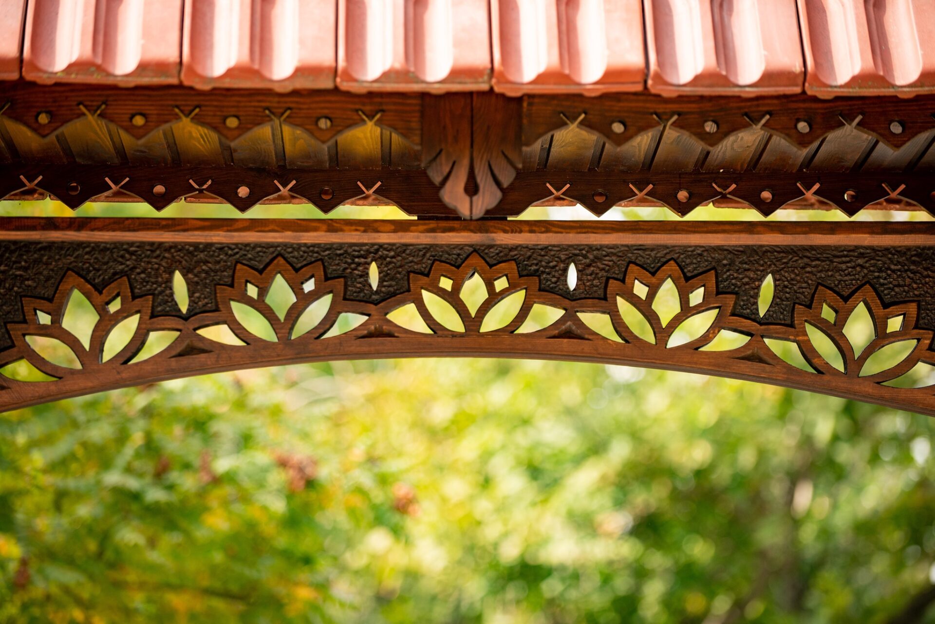 475309772_9125692557500471_9098046516756443553_n