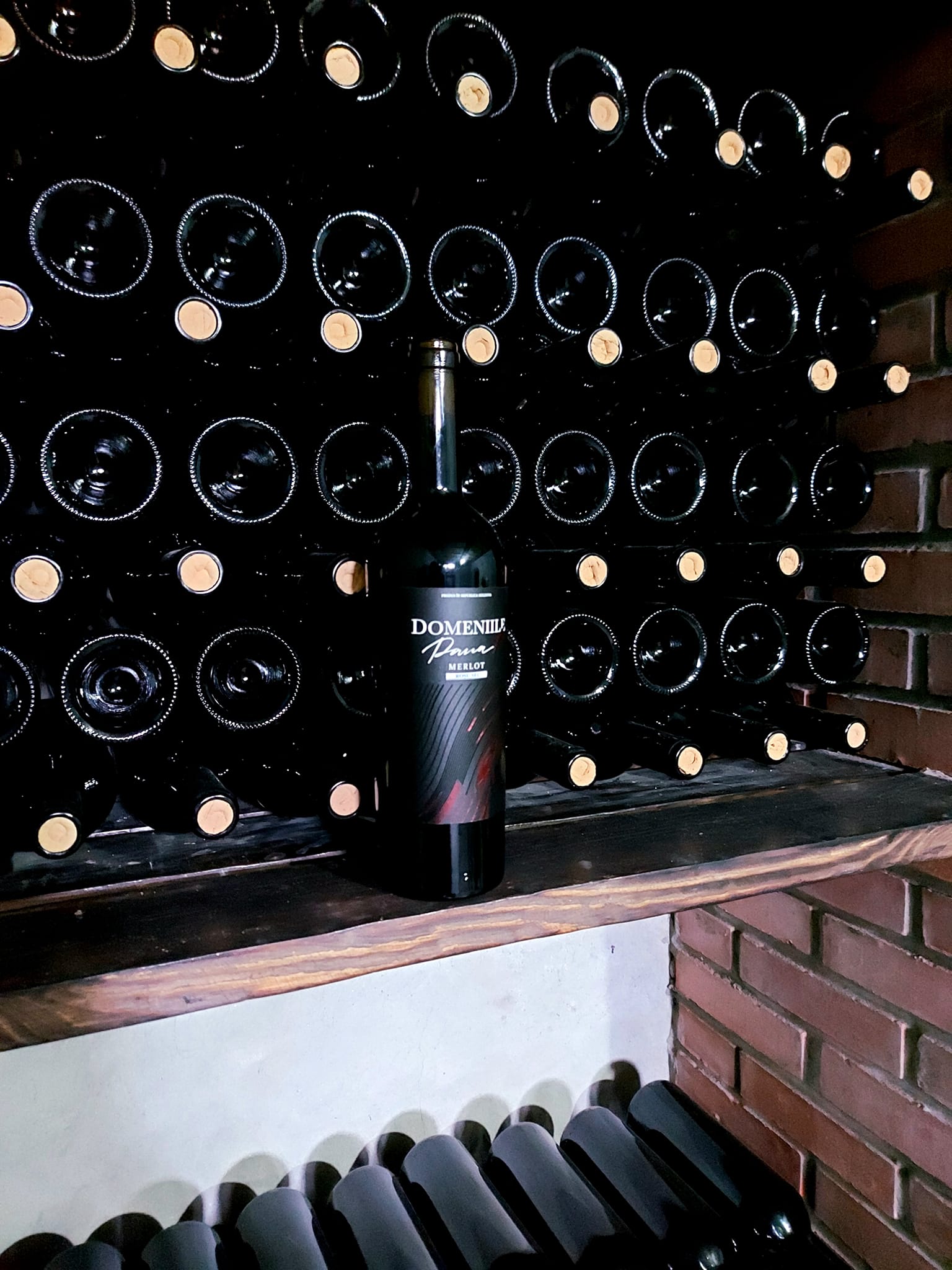 476897671_639914885233906_1730954833470719904_n