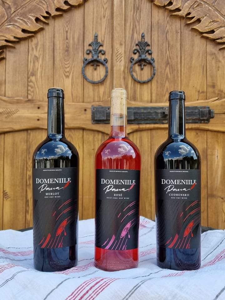 480513946_661579613046020_4822726132206882059_n