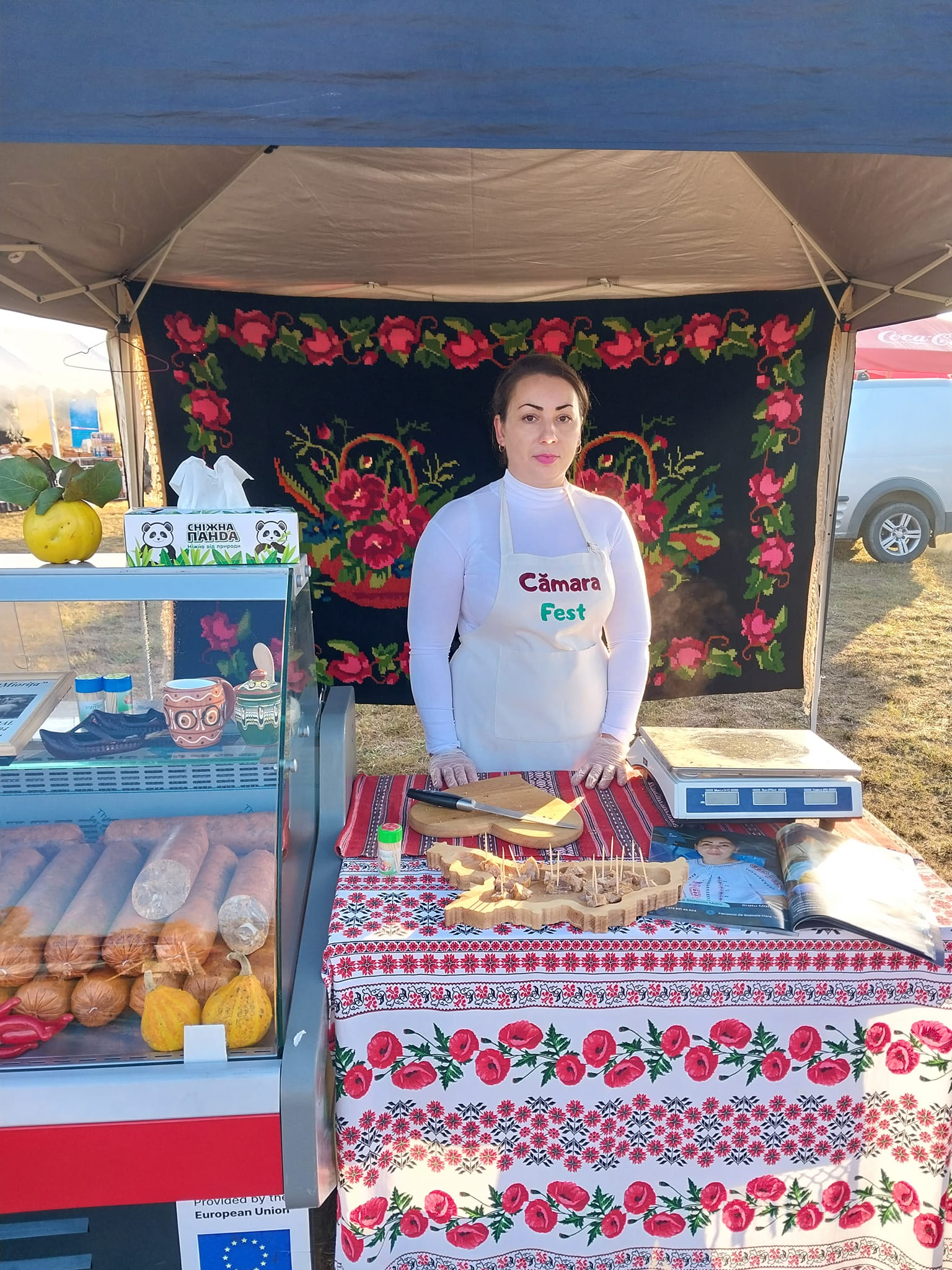 480701622_1384715806224936_2841959453585987738_n