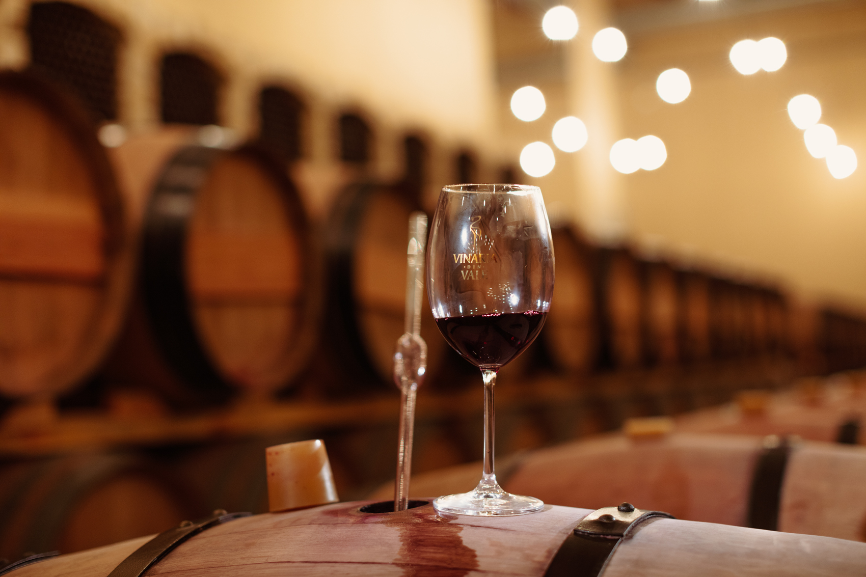 482200845_665611732479223_8262049386422012979_n